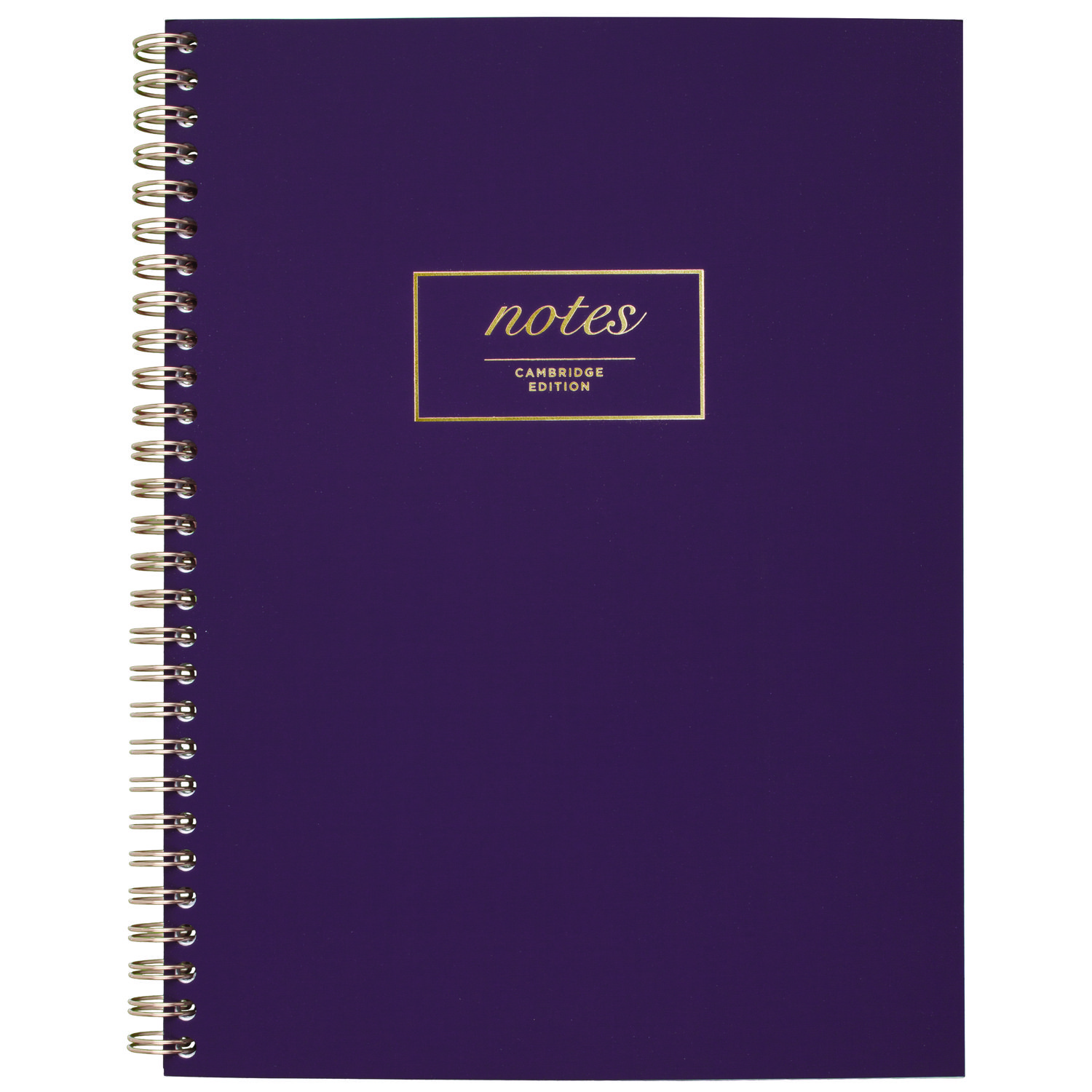 Jewel Tone Notebook, Gold Twin-Wire, 1-Subject, Wide/Legal Rule, Purple Cover, (80) 9.5 x 7.25 Sheets