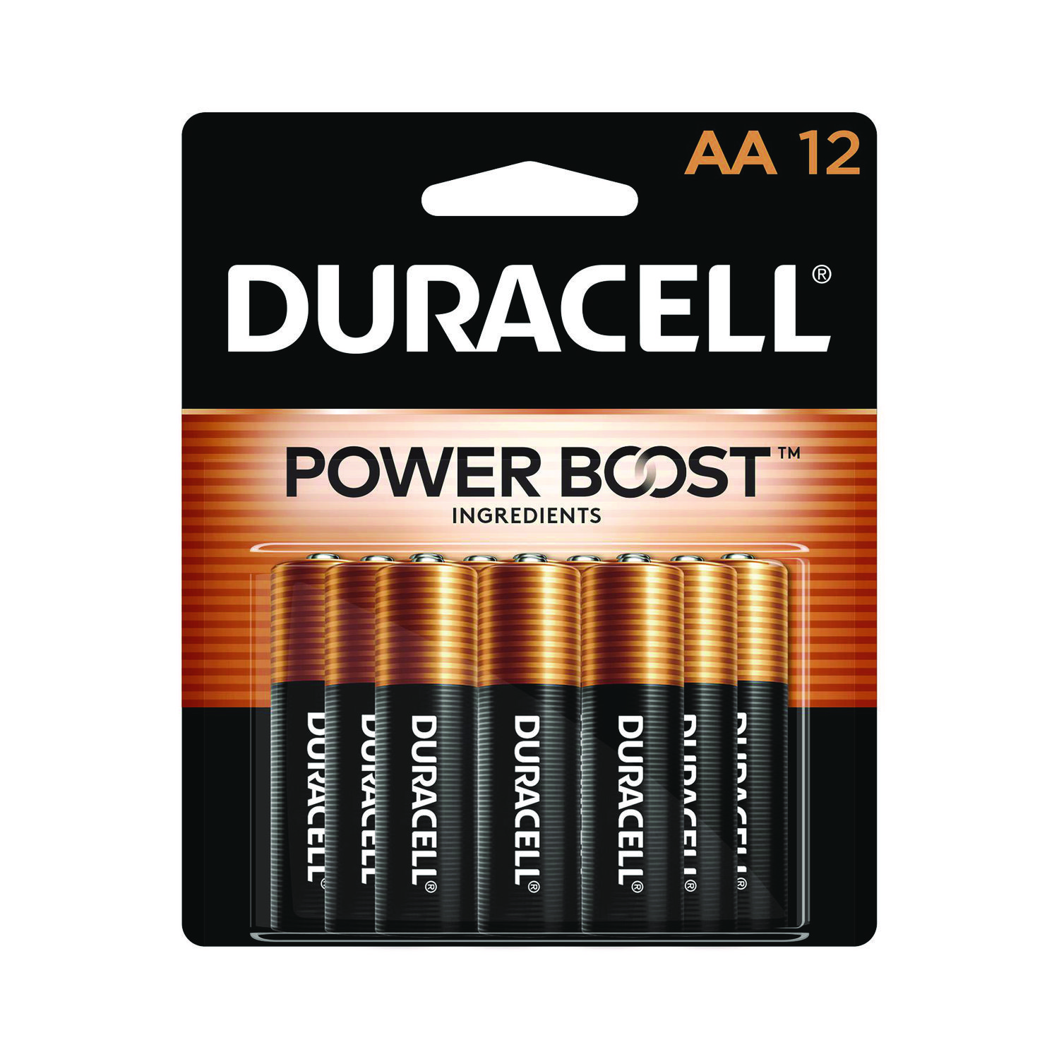 Power Boost CopperTop Alkaline AA Batteries, 12/Pack