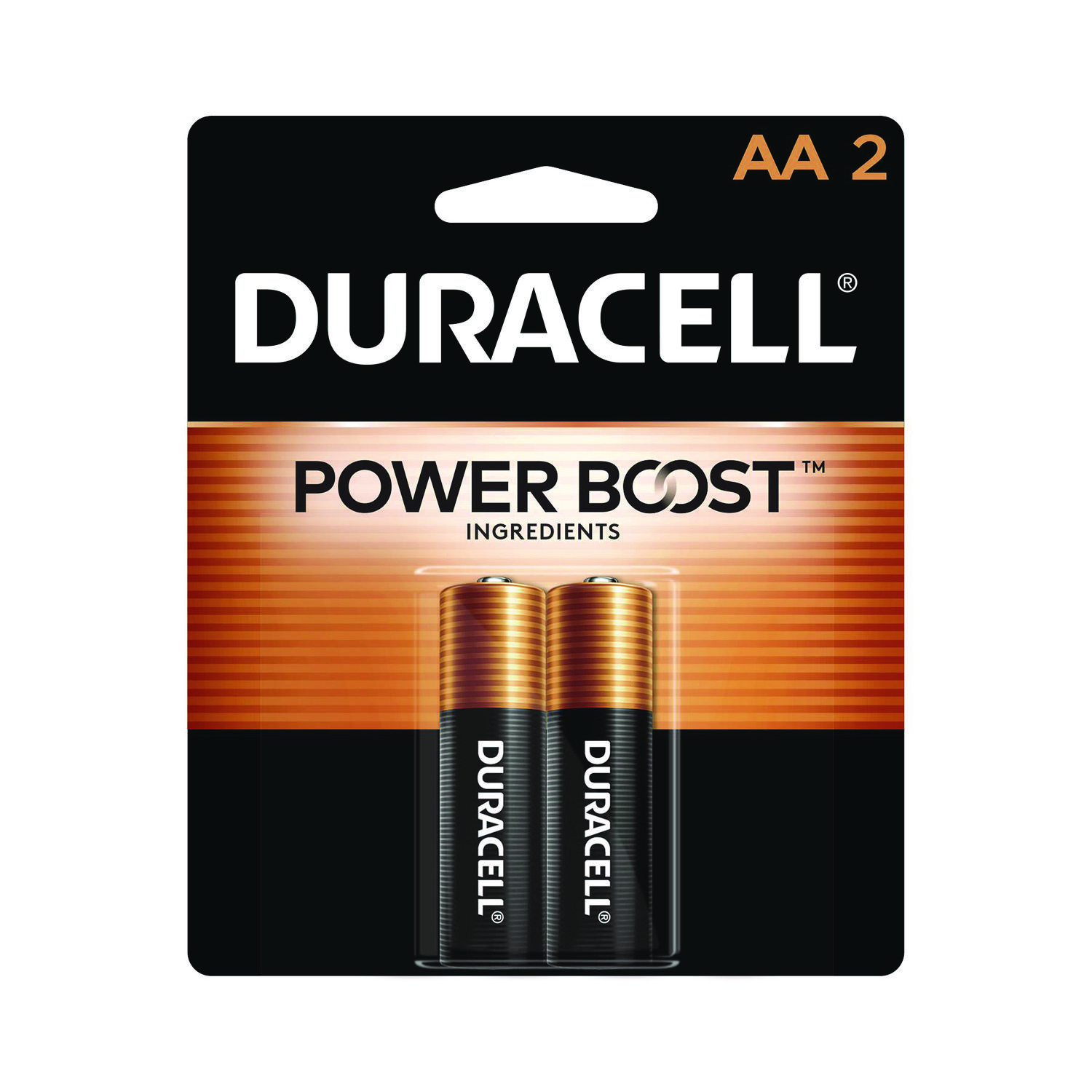 Power Boost CopperTop Alkaline AA Batteries, 2/Pack