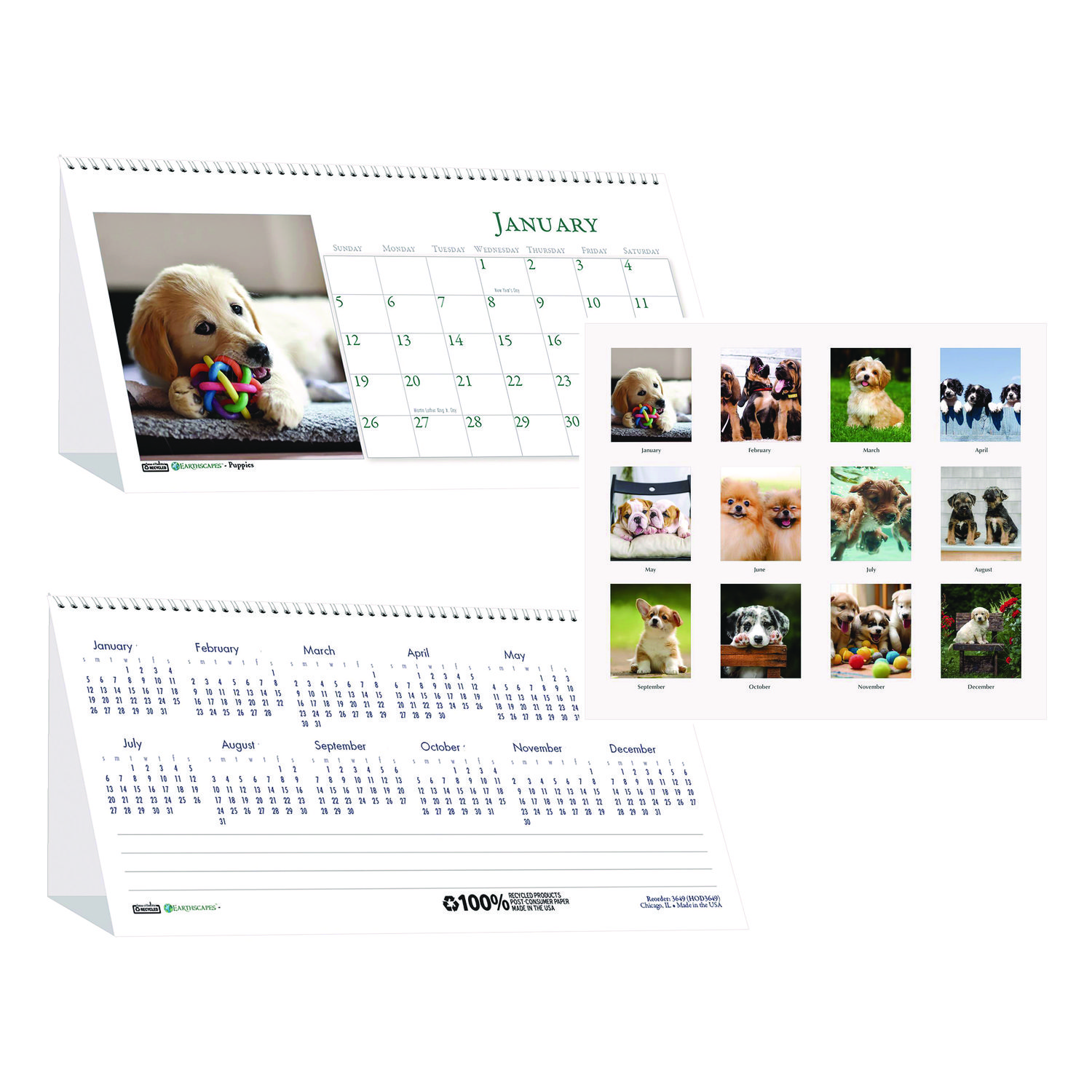 Earthscapes Recycled Desk Tent Monthly Calendar, Puppies Photography, 8.5 x 4.5, White Sheets, 12-Month (Jan to Dec): 2025