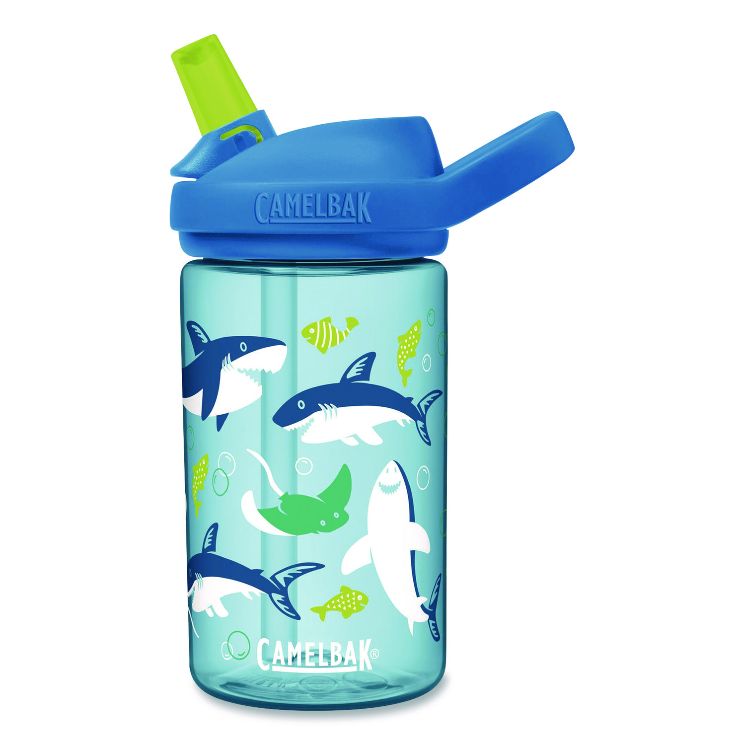 Eddy + Kids Water Bottle, Sharks and Rays Design, 14 oz, Multicolor