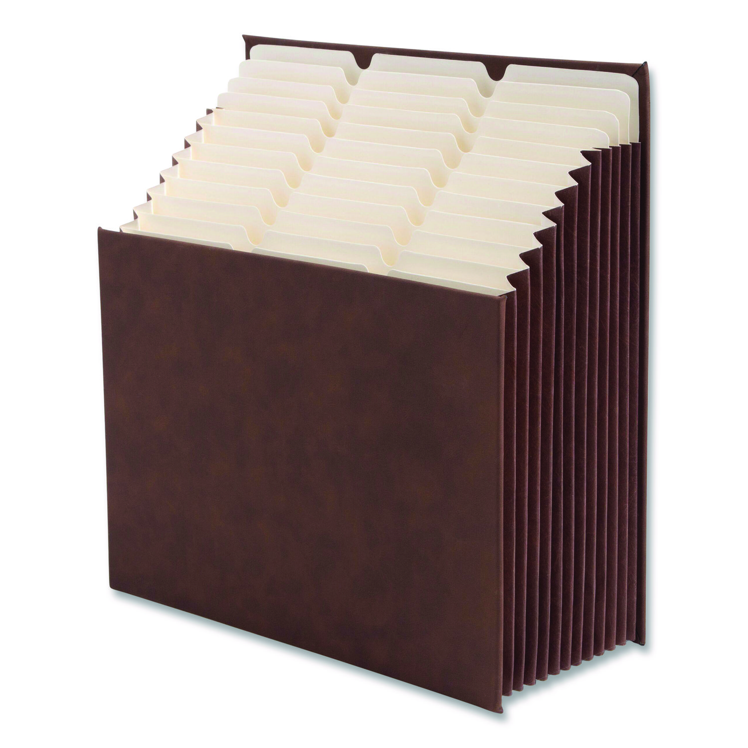 Stadium File, 10.5" Expansion, 12 Sections, 1/3-Cut Tabs, Letter Size, Saddle