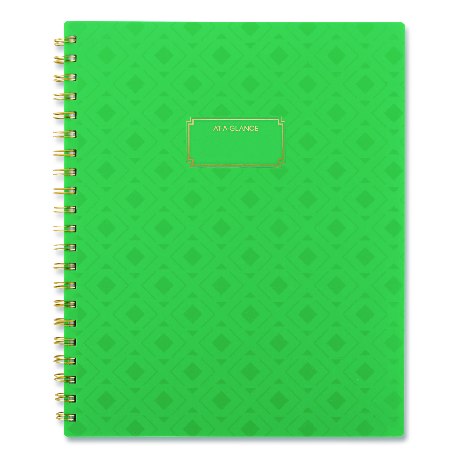 Badge Geo Weekly/Monthly Planner, 11 x 8.5, Green Cover, 13-Month (Jan-Jan): 2026