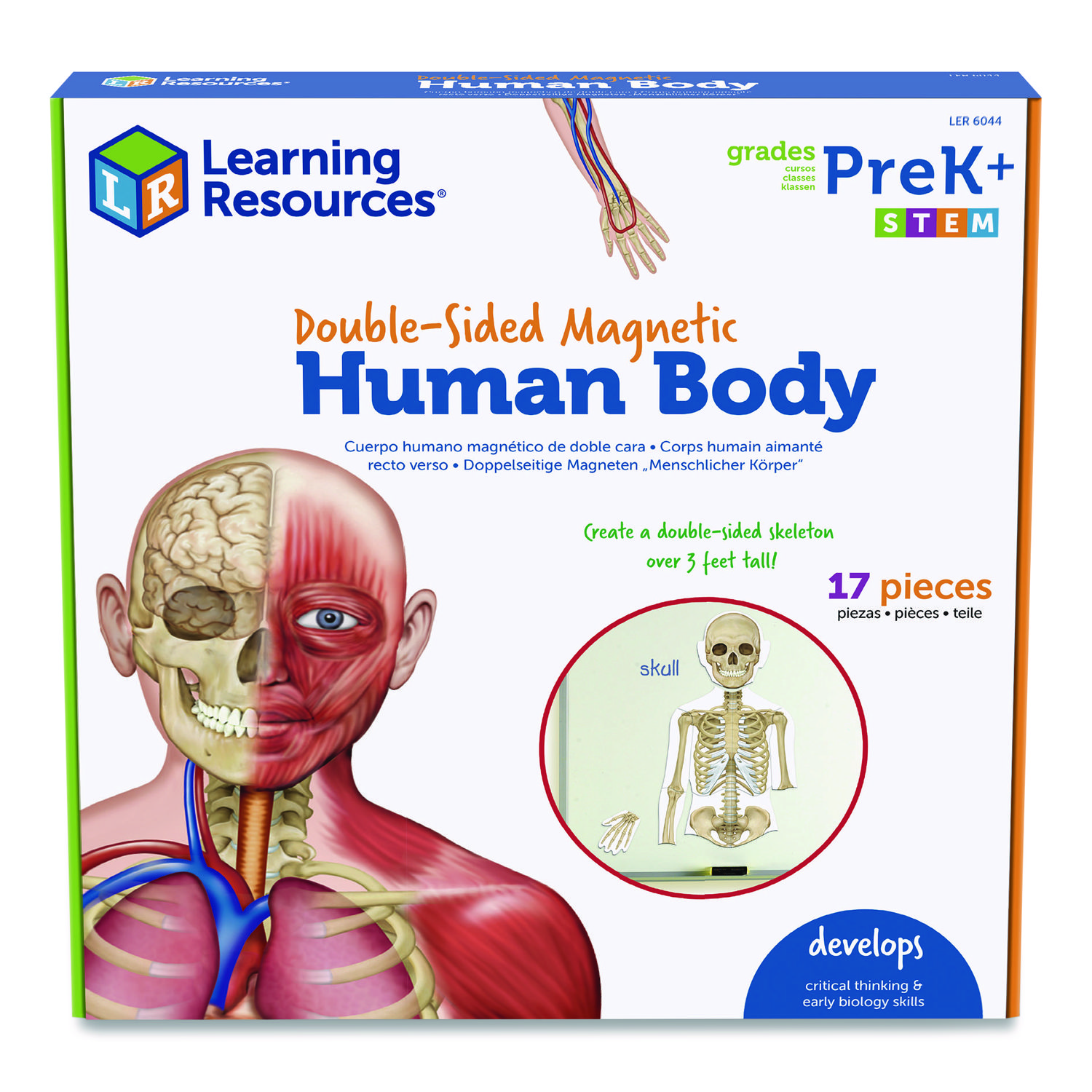 Double-Sided Magnetic Human Body, Grades K to 5, English/Spanish, Assorted Colors, 17 Pieces