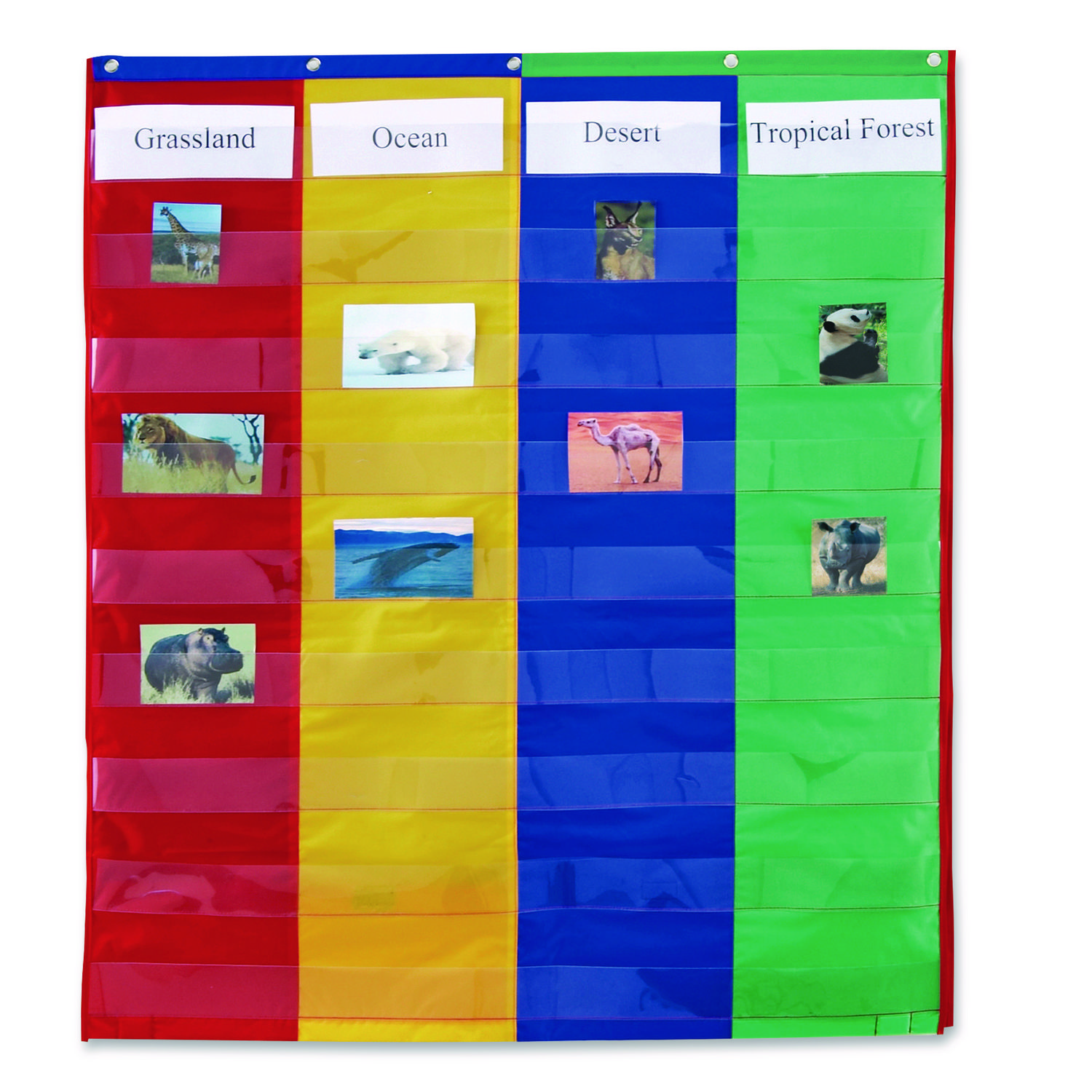 Two- and Four-Column Double-Sided Pocket Chart, 9 Pockets/Chart, 30 x 38, Blue/Green/Red/Yellow
