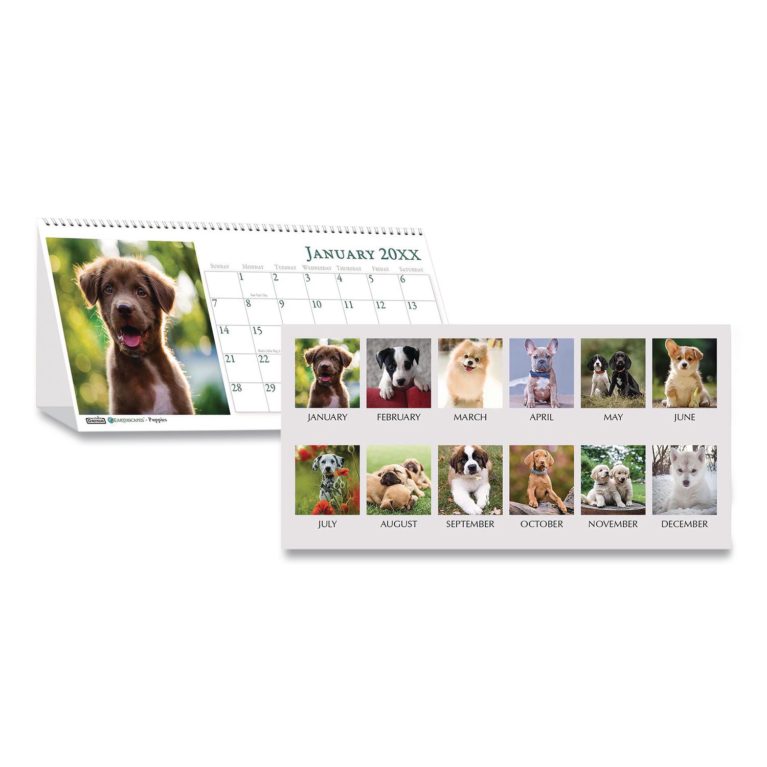 Earthscapes Recycled Desk Tent Monthly Calendar, Puppies Photography, 8.5 x 4.5, White Sheets, 12-Month (Jan to Dec): 2026