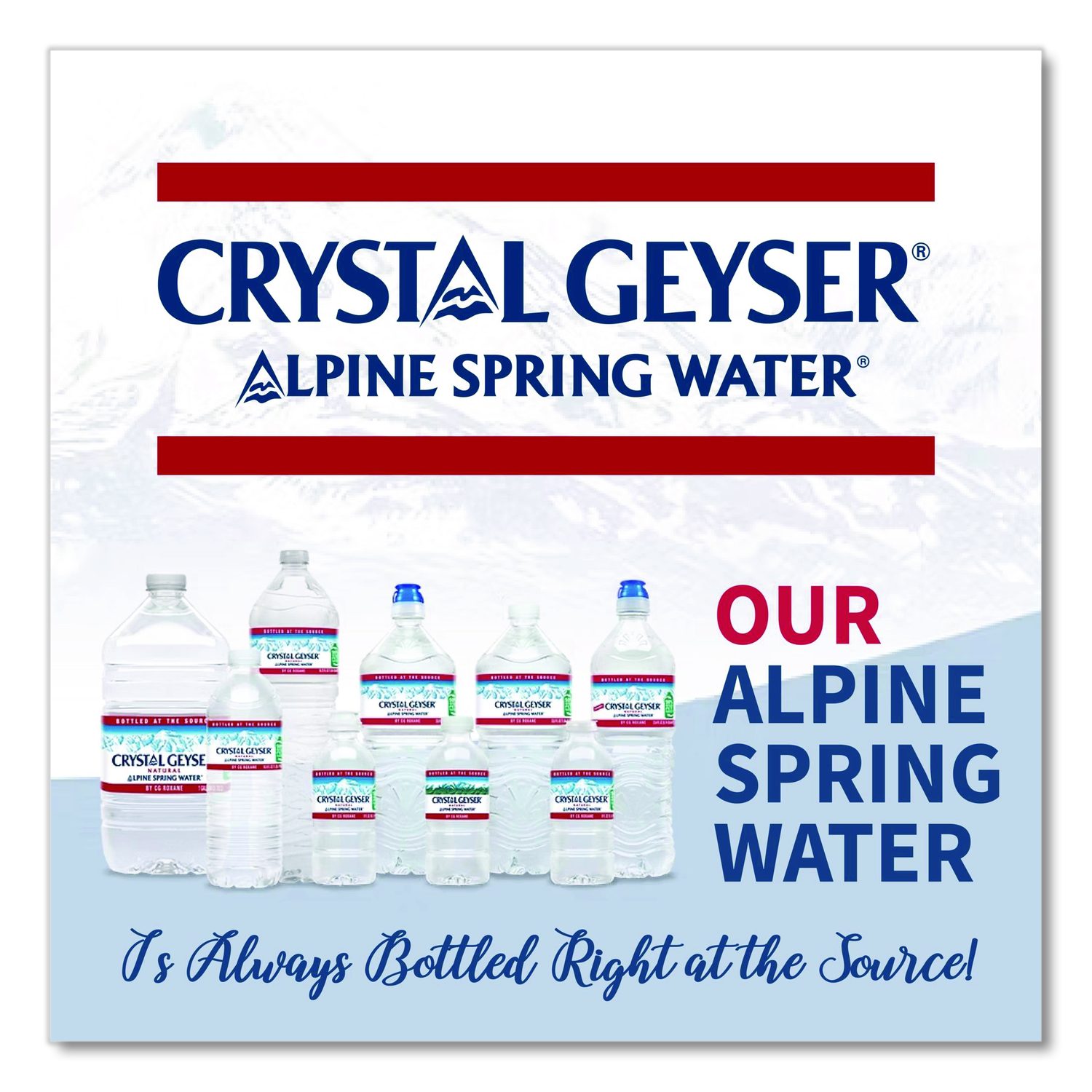 Alpine Spring Water, 16.9 oz Bottle, 24/Carton, 84 Cartons/Pallet ...