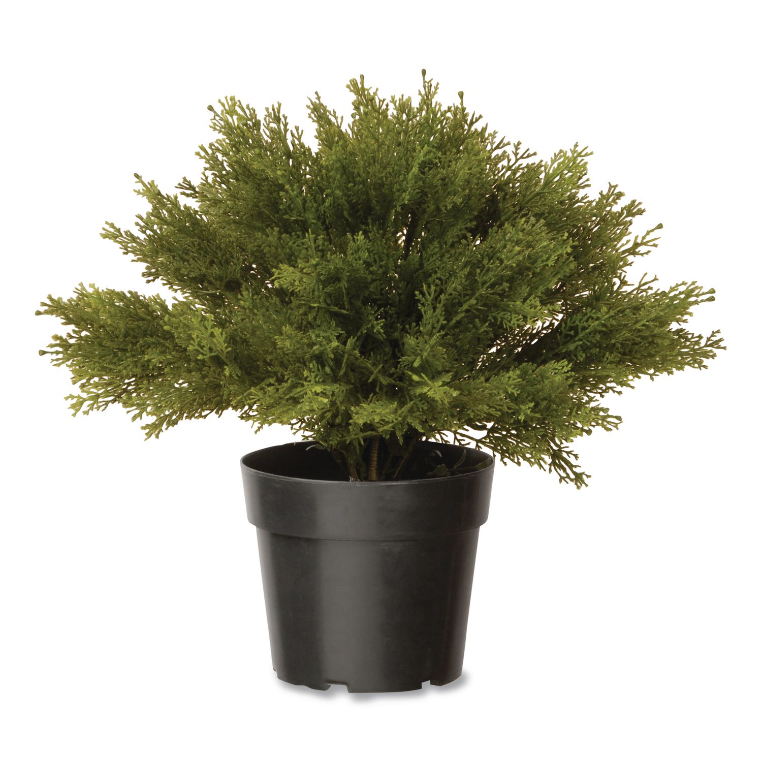 Artificial Globe Juniper, 15" x 15" x 15", Green Plant, Green Pot