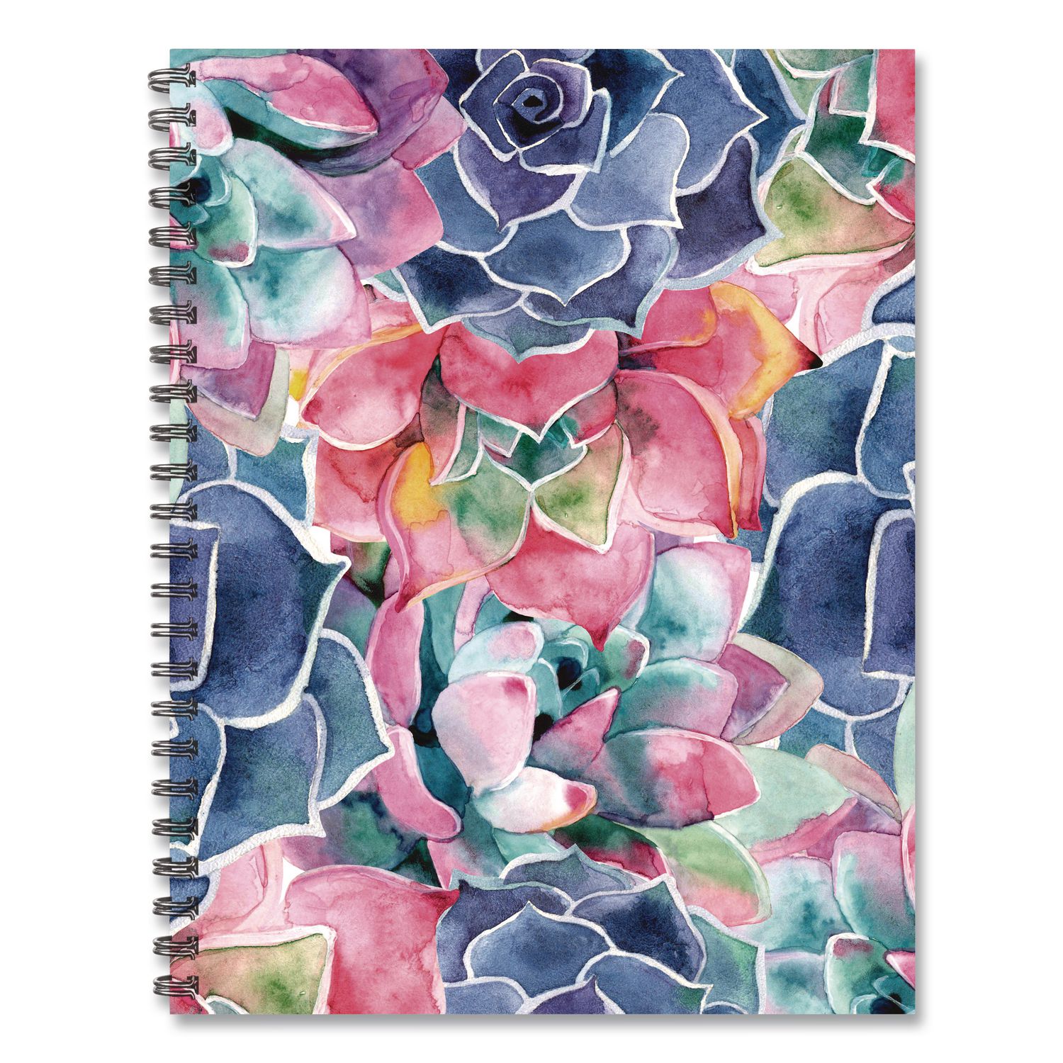 So Very Succulent Weekly/Monthly Planner, 11 x 8.5, Multicolor Cover, 12-Month (Jan to Dec): 2026