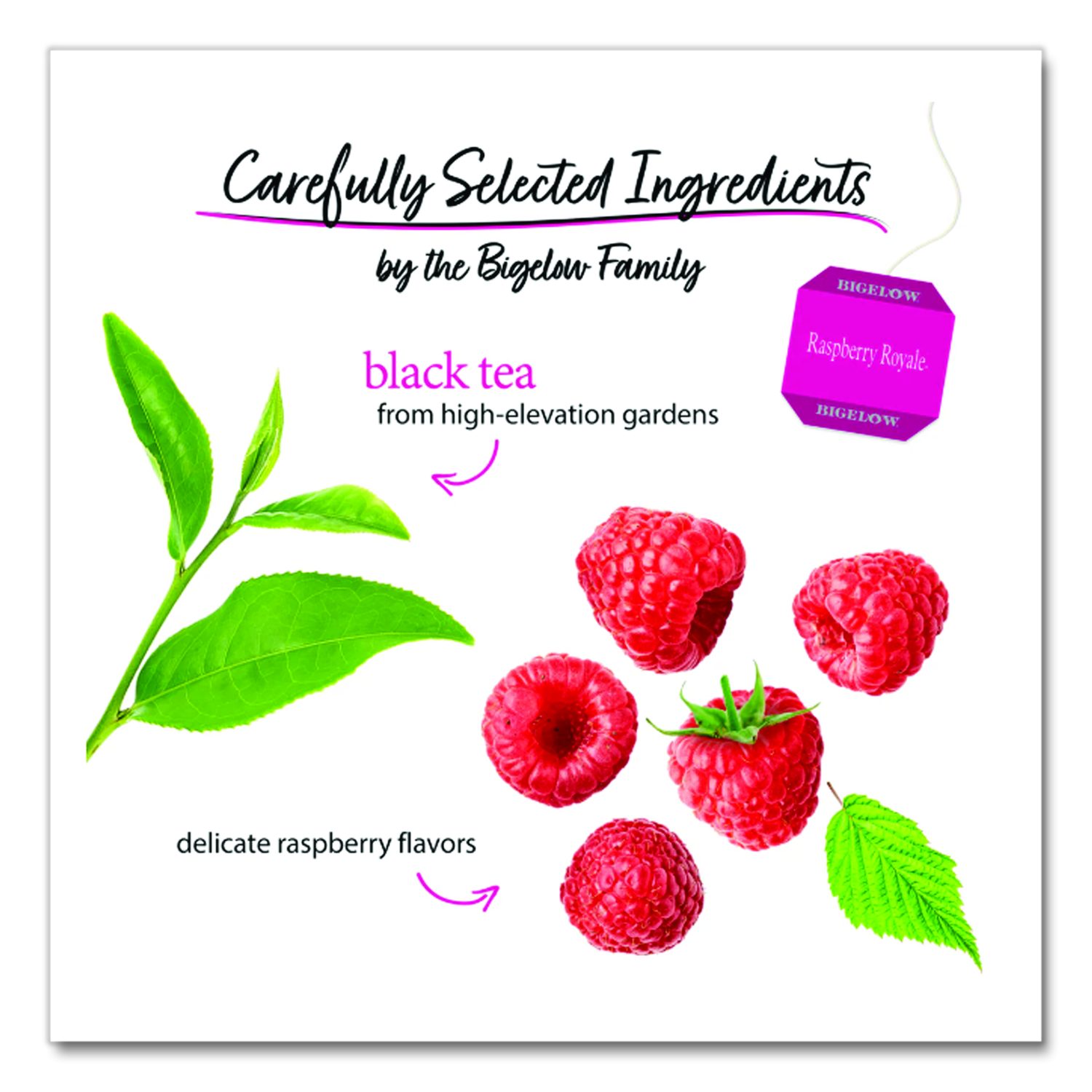 Raspberry Black Tea, Raspberry, 0.34 lbs, 28/Box - BOSS Office and ...