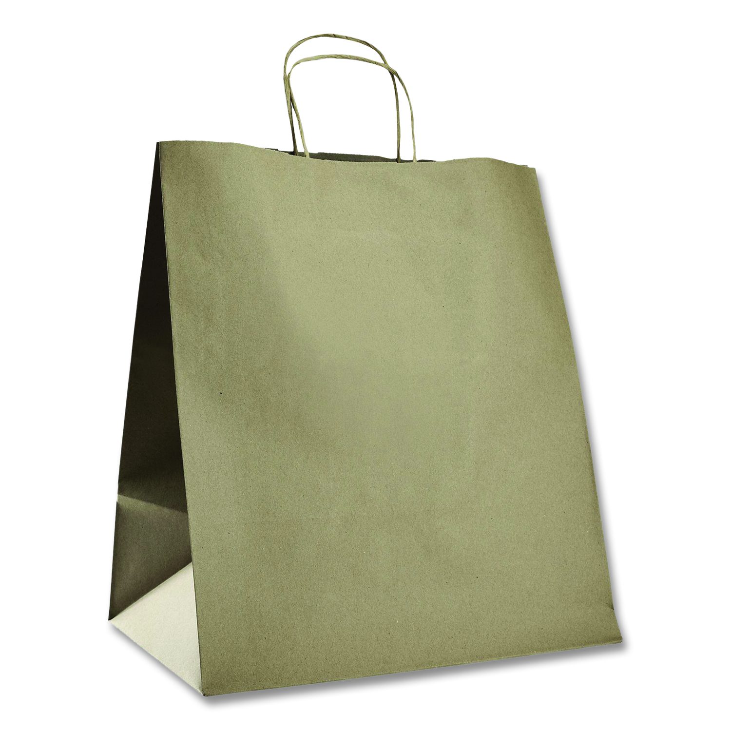 Huntington Paper Shopping Bag, Rope Handles, Large Size, 13.4 x 9.3 x ...