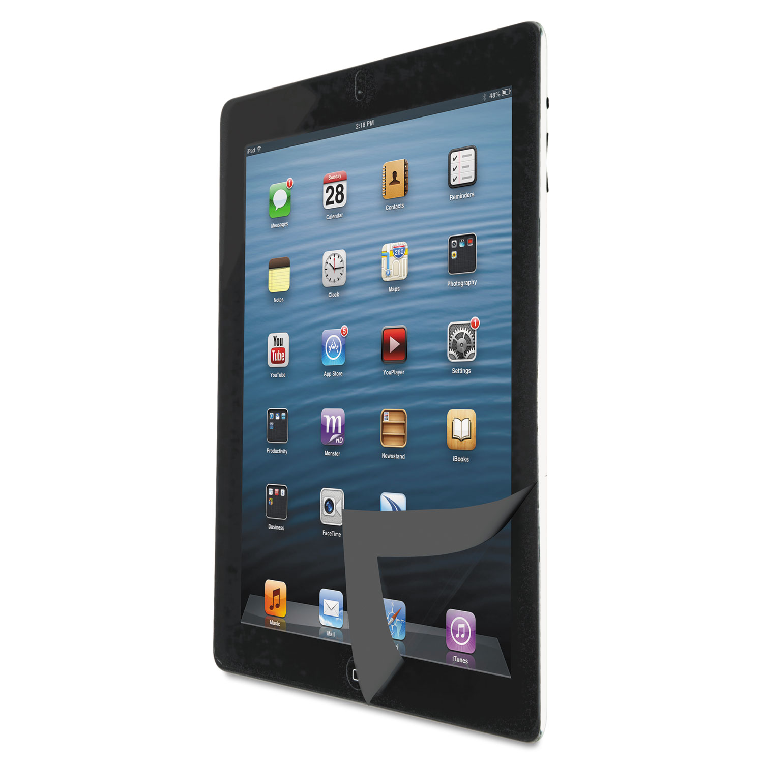 Bubble-Free Protective Filter for iPad Black