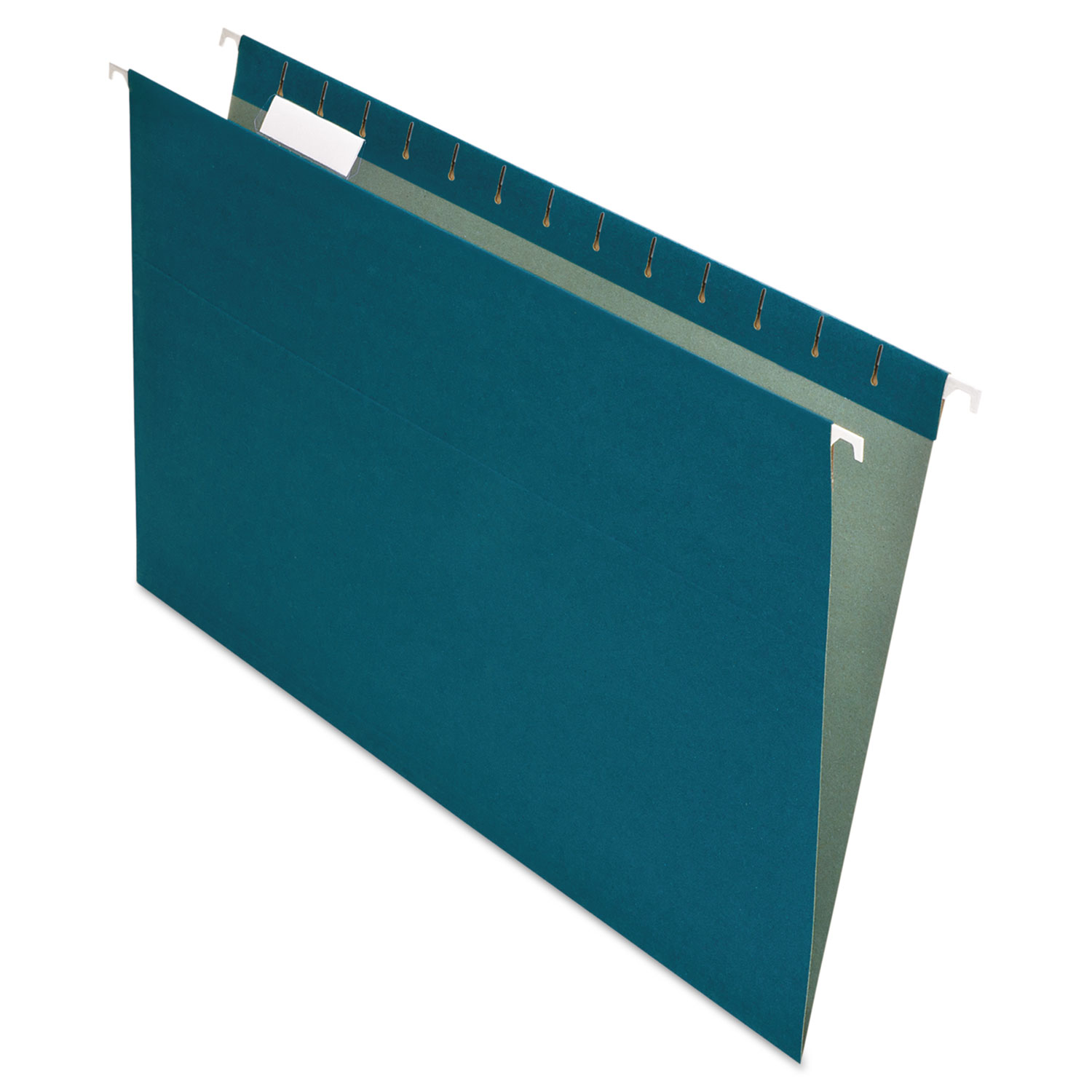  Pendaflex 76502 Earthwise by Pendaflex 100% Recycled Colored Hanging File Folders, Legal Size, 1/5-Cut Tab, Blue, 25/Box (PFX76502) 