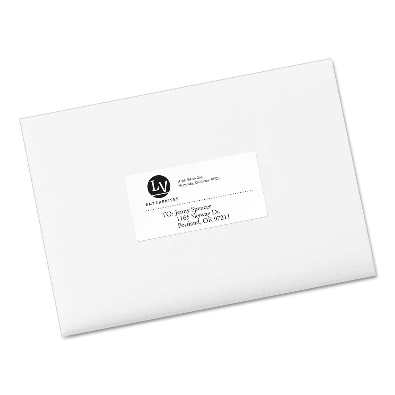 EcoFriendly Laser/Inkjet Shipping Labels, 2 x 4, White, 250/Pack