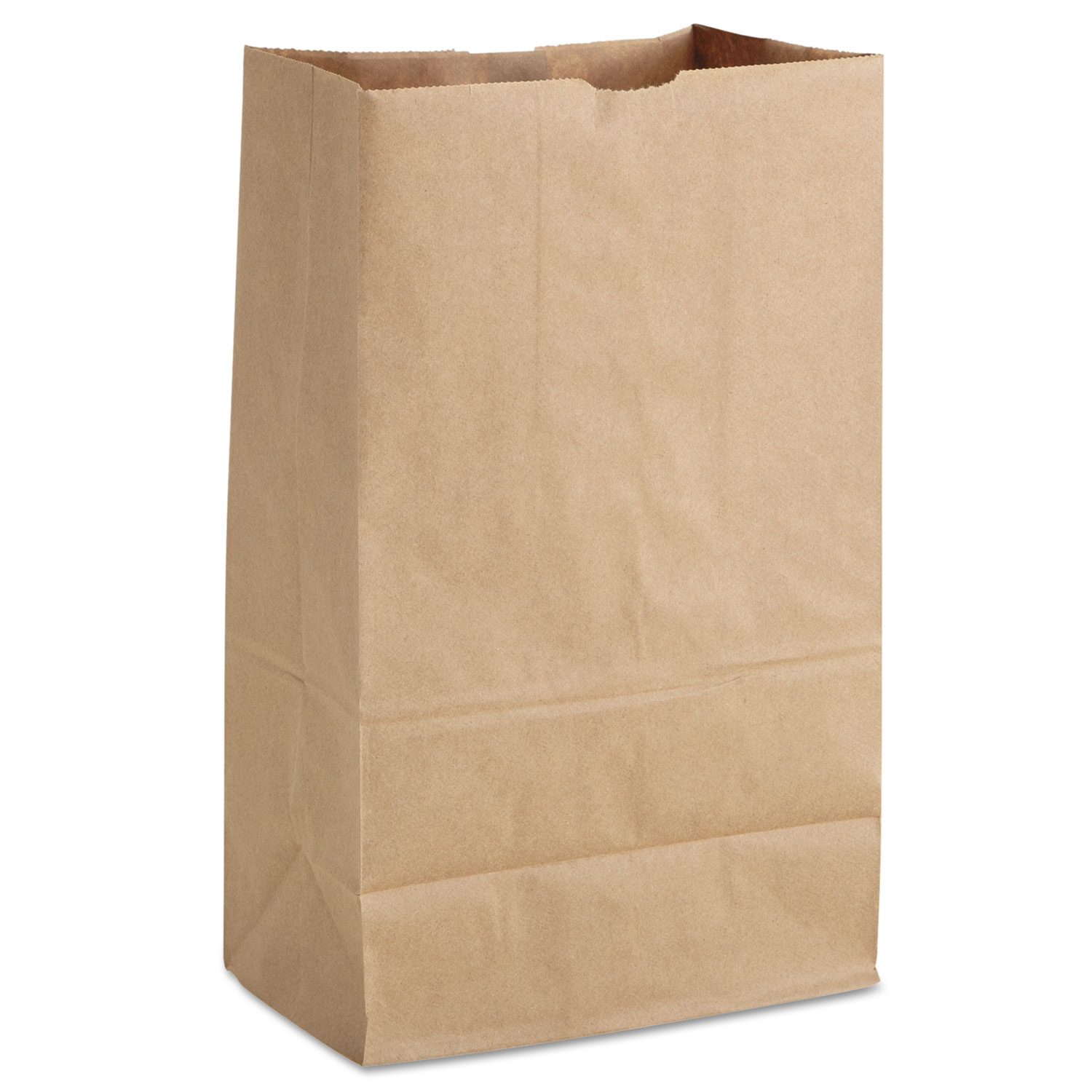 Grocery Paper Bags, 9.75