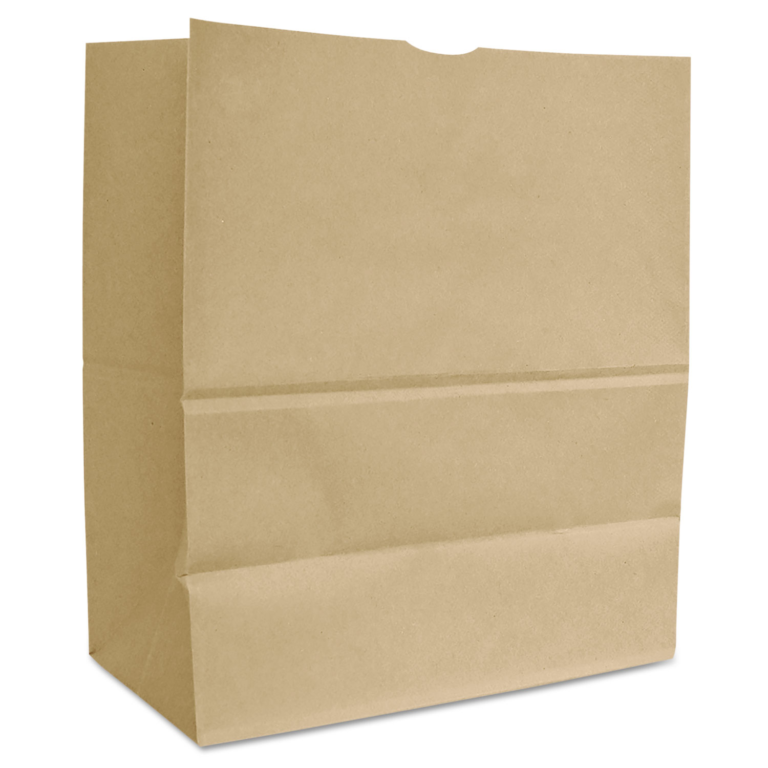  General 80078 Grocery Paper Bags, 66 lbs Capacity, 1/6 BBL, 12w x 7d x 17h, Kraft, 500 Bags (BAGSK1665) 