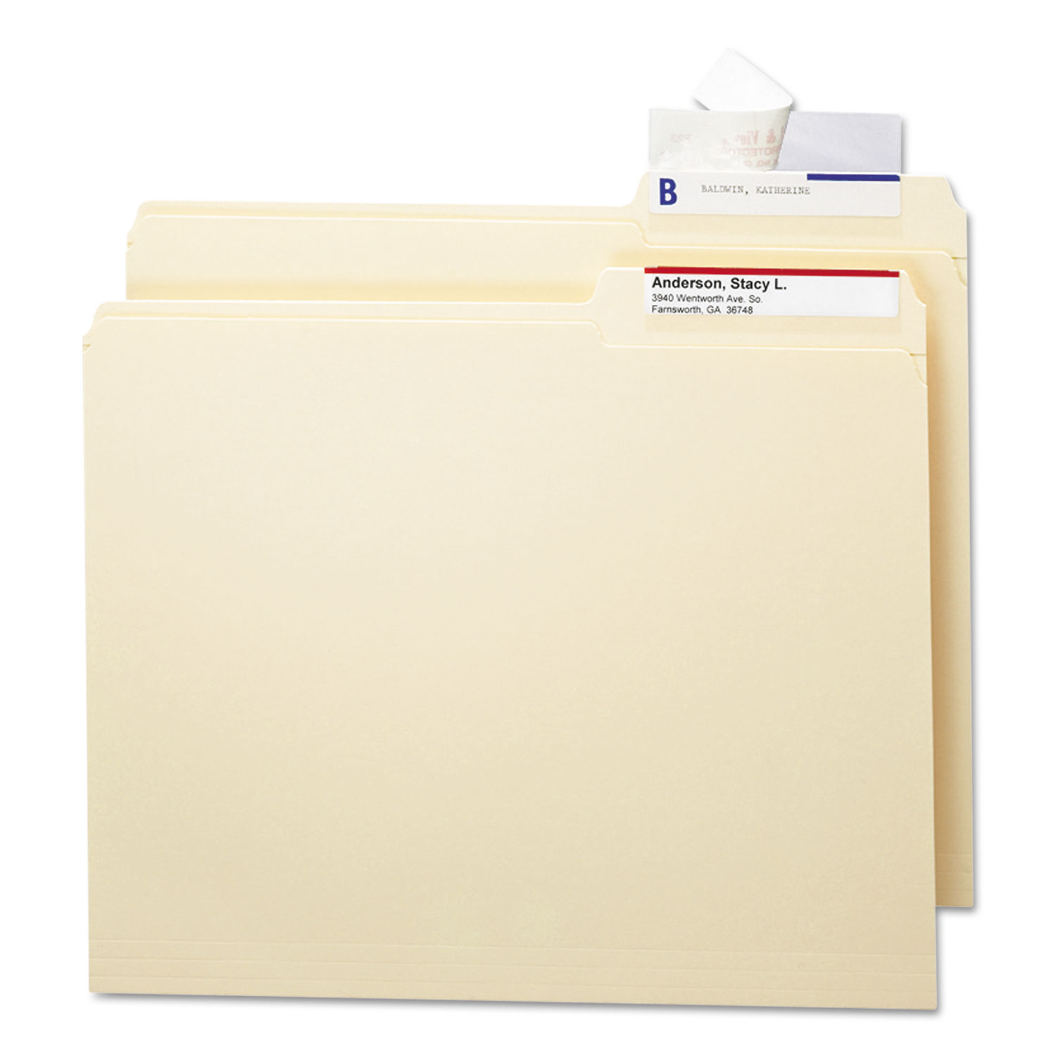 Seal and View File Folder Label Protector, Clear Laminate, 31/2x111/