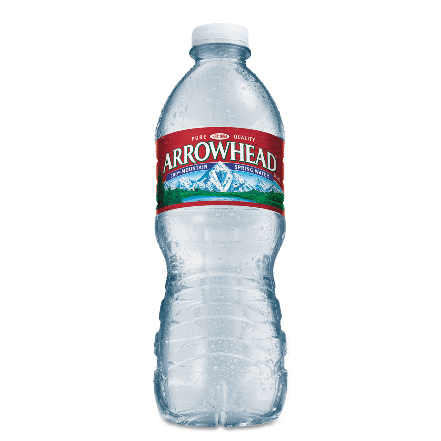  Arrowhead 1039242 Natural Spring Water, 16.9 oz Bottle, 40 Bottles/Carton (NLE1039242) 