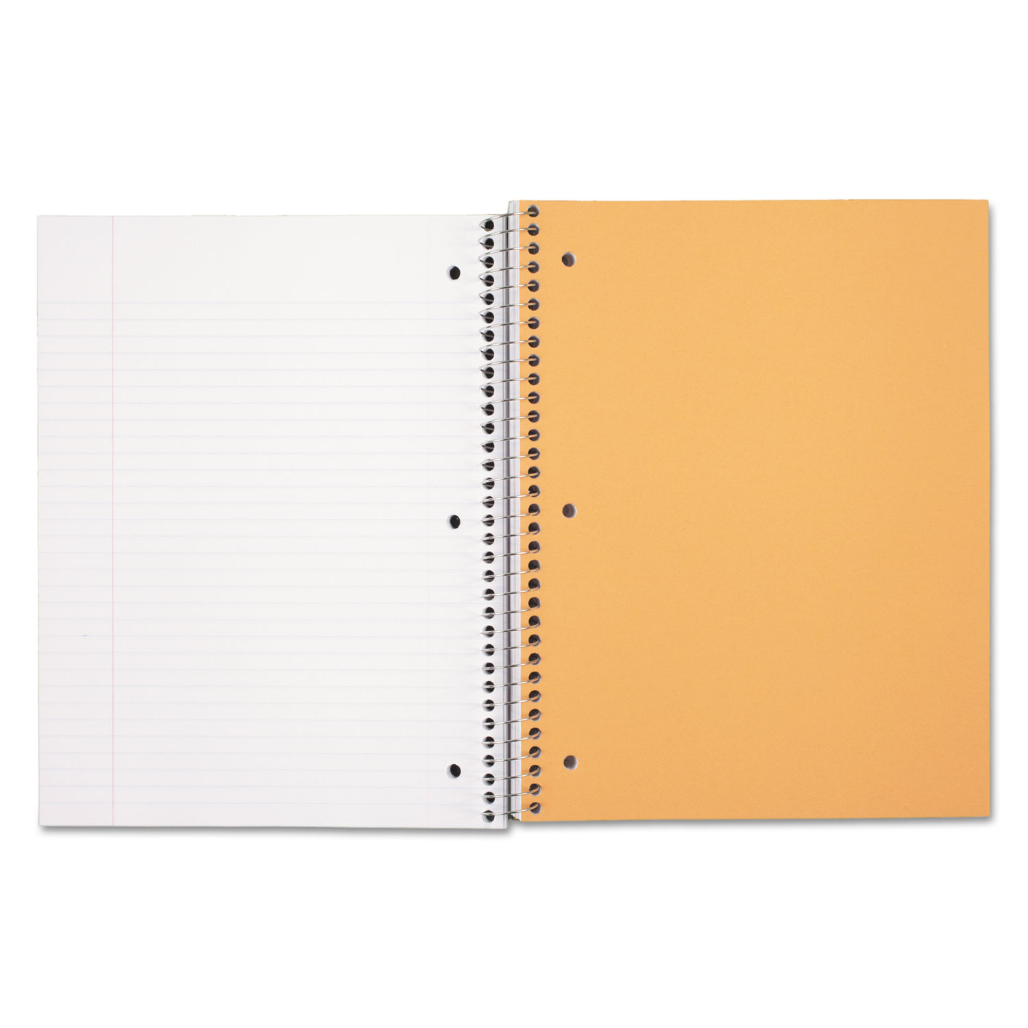 Spiral Bound Notebook, Perforated, College Rule, 10  x 8, White, 180 Sheets