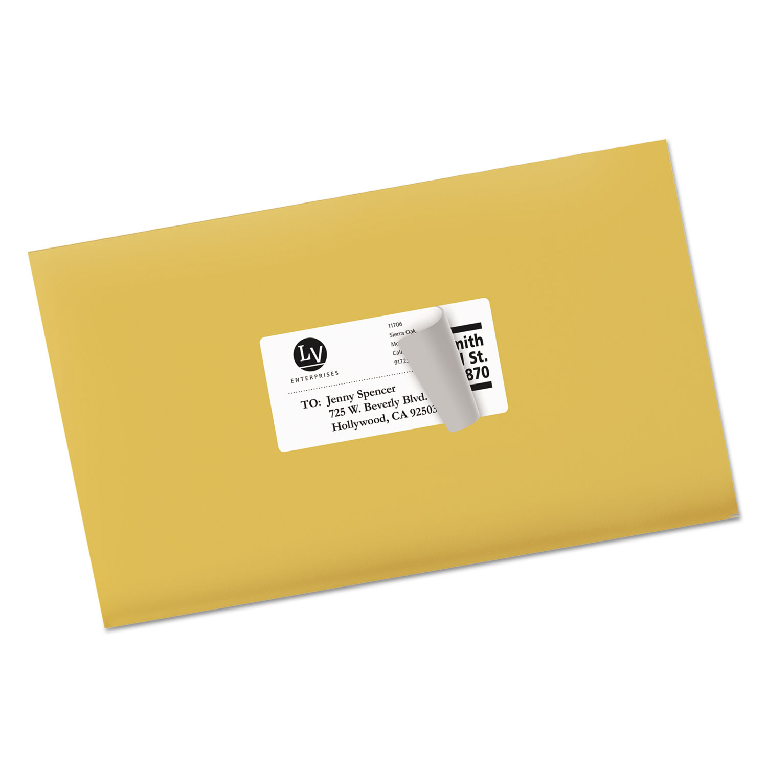 Shipping Labels with TrueBlock Technology, Laser, 2 x 4, White, 250/Pack