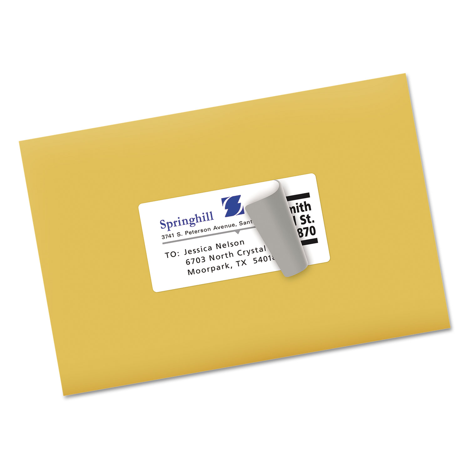 Shipping Labels with TrueBlock Technology, Inkjet, 2 x 4, White, 250/Pack