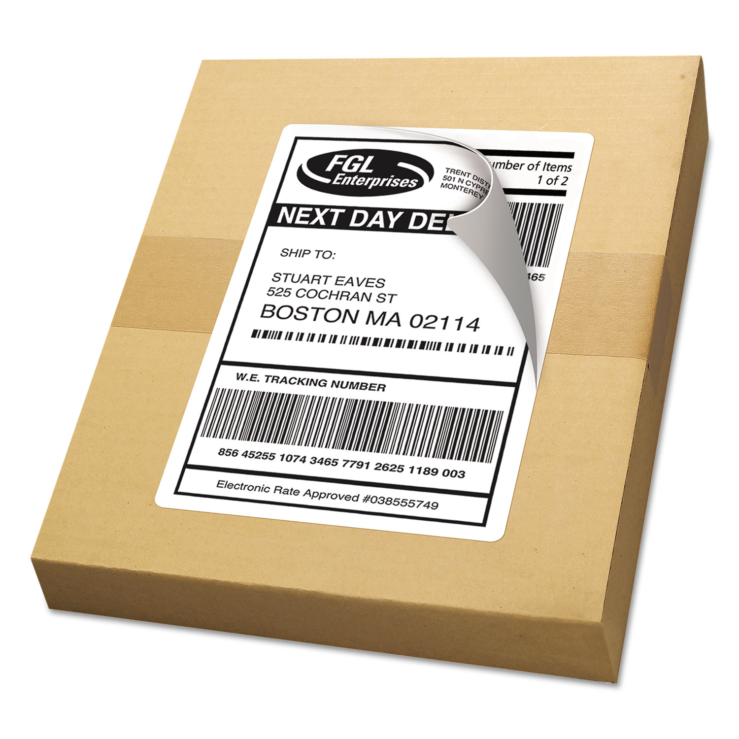 Shipping Labels w/Ultrahold & TrueBlock, Inkjet, 5 1/2 x 8 1/2, White, 50/Pack