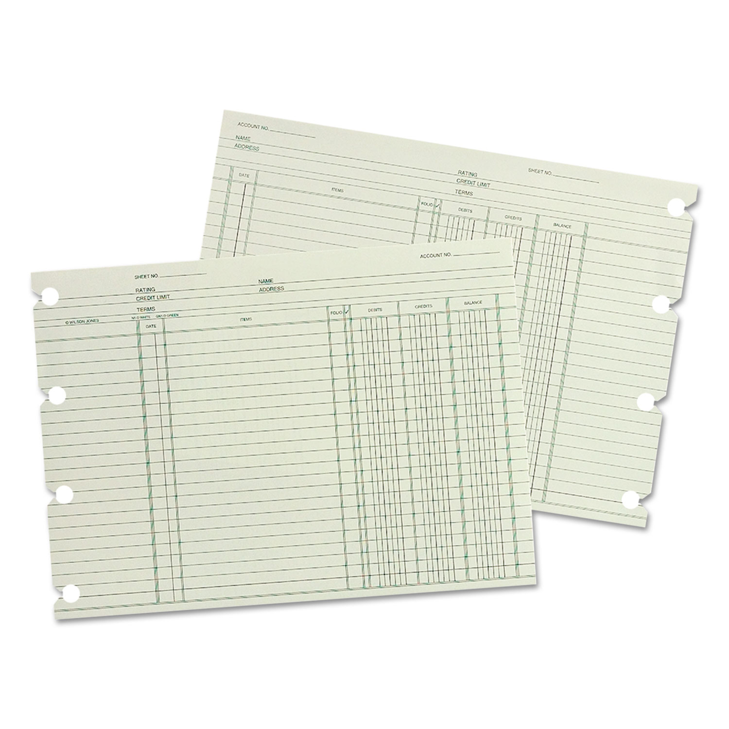 Accounting, 9-1/4 x 11-7/8, 100 Loose Sheets/Pack