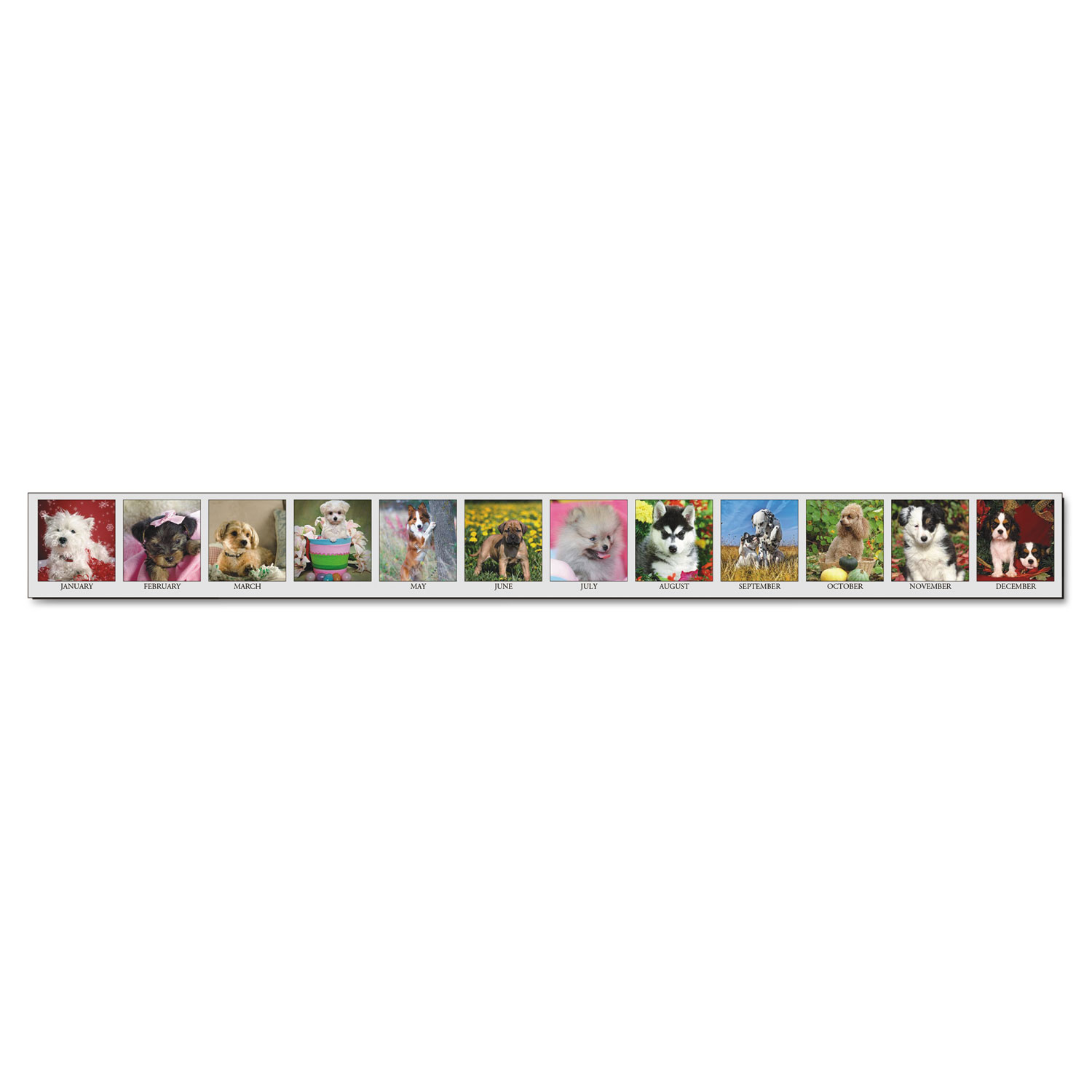 Recycled Puppies Photographic Monthly Desk Pad Calendar, 22 x 17, 2018