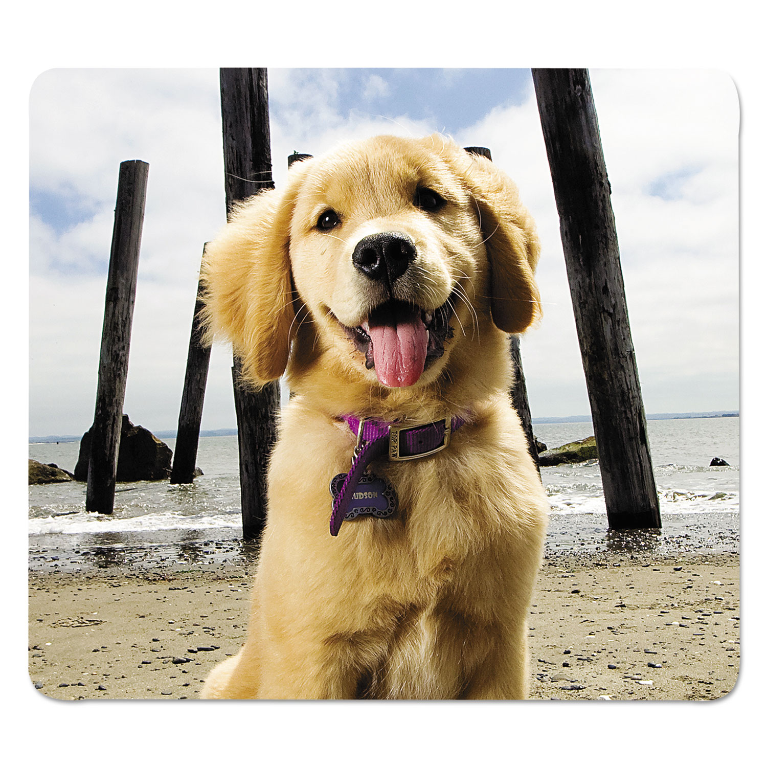 Recycled Mouse Pads, Puppy at Beach, 9 x 8 x 1/16