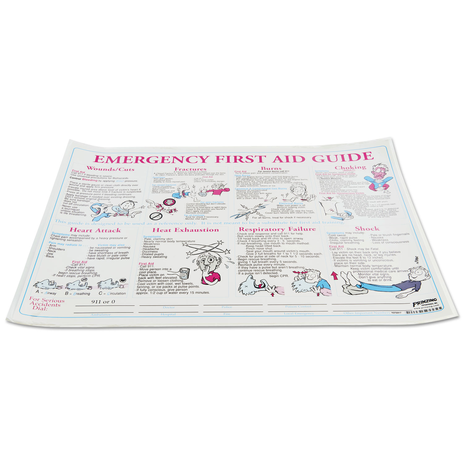 Emergency First Aid Guide Poster, 24 x 18