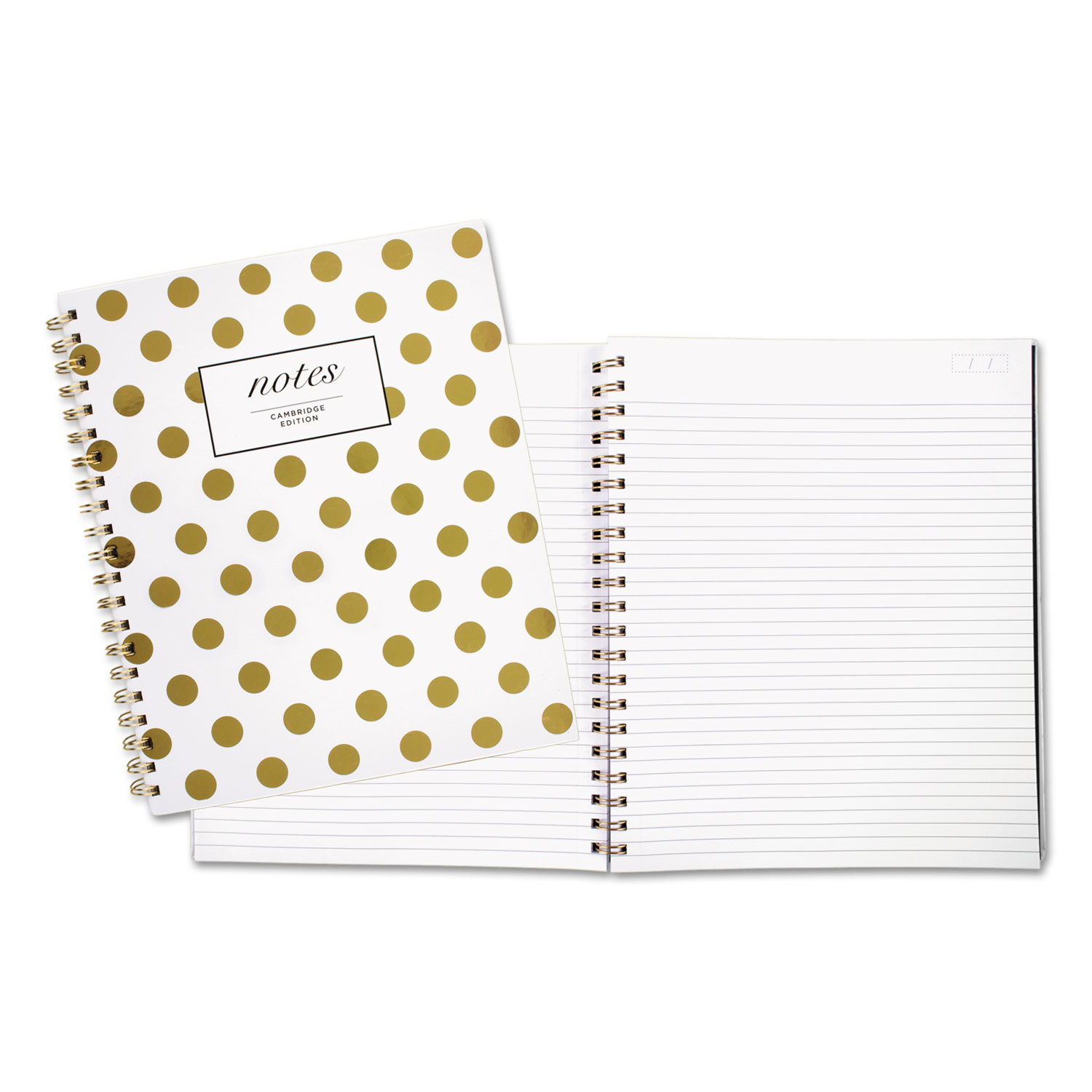 Gold Dots Hardcover Notebook, 11 x 8 7/8, 80 Sheets