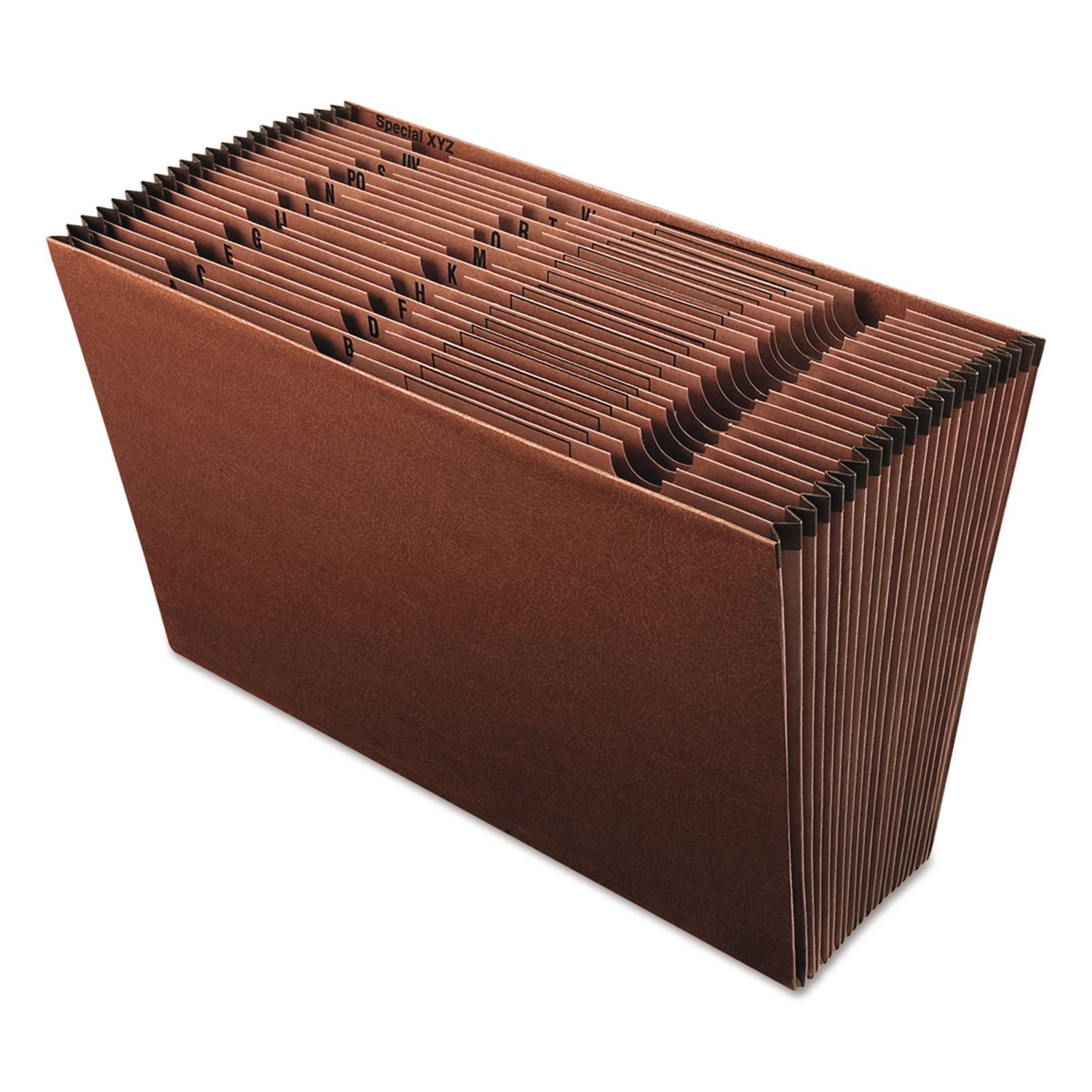 AAA ファイル Earthwise by Pendaflex Recycled Indexed Expanding File, 21