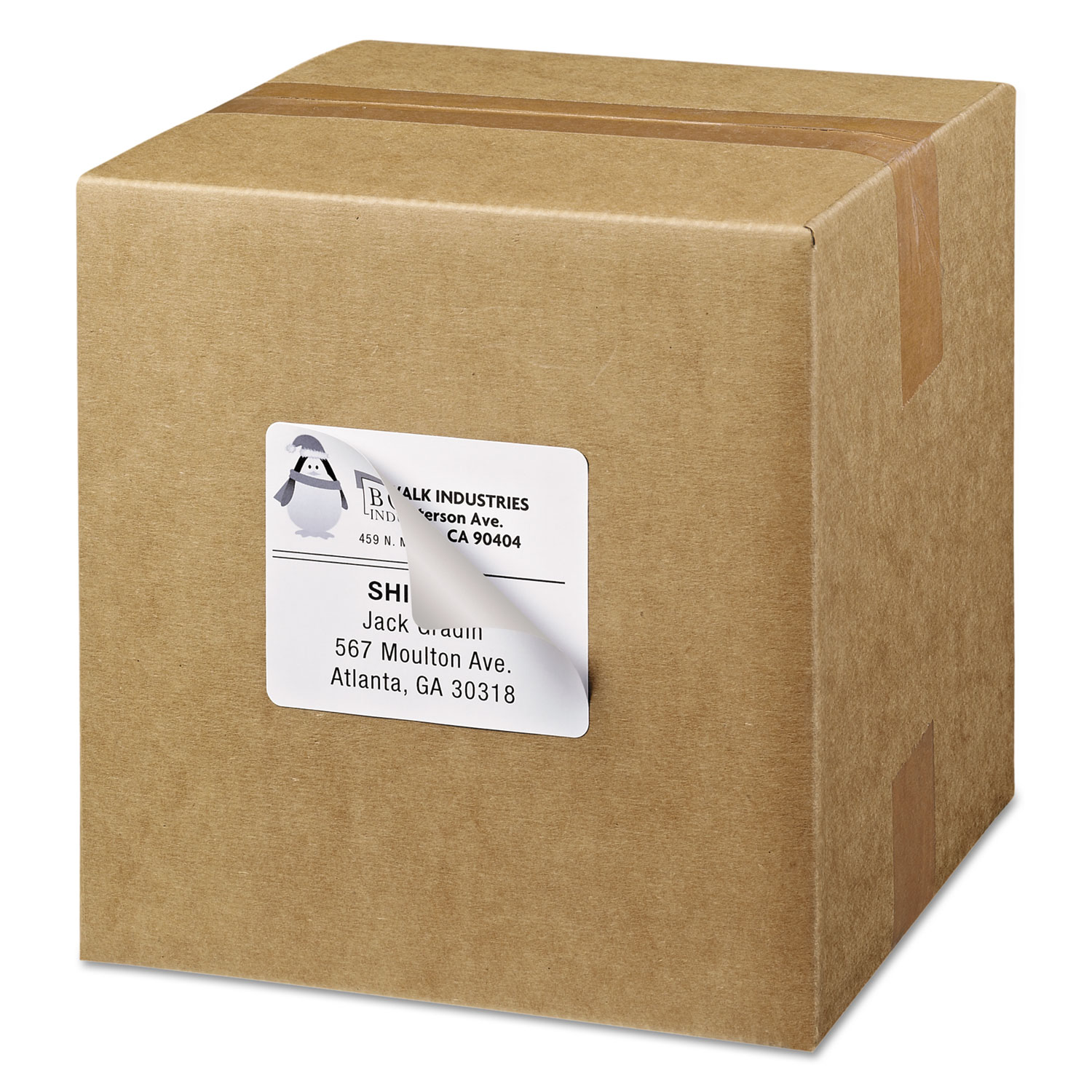 Shipping Labels with TrueBlock Technology, Laser, 3 1/3 x 4, White, 600/Box