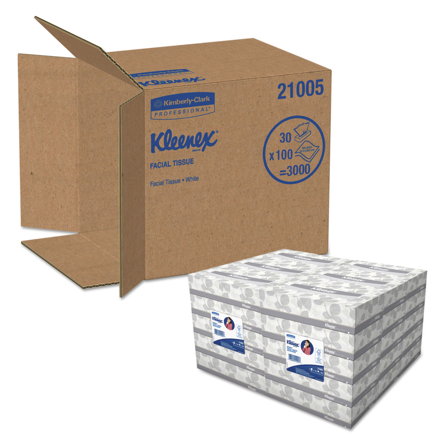 White Facial Tissue, 2-Ply, 100 Tissues/Box, 5 Boxes/Pack, 6 Packs/Carton