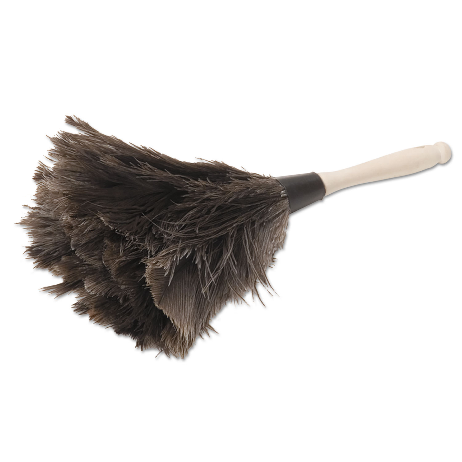 BWKMICRODUSTER MicroFeather Duster