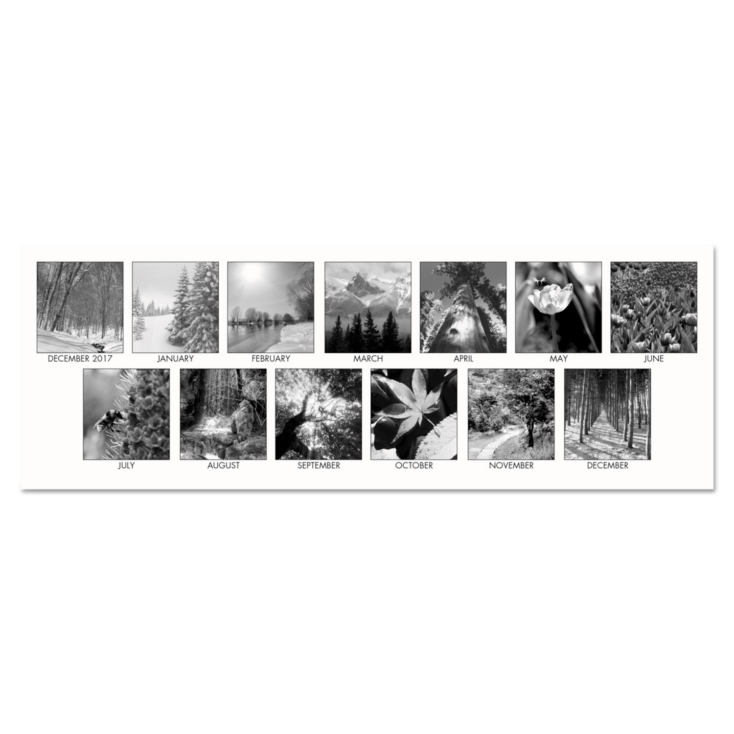 Recycled Black-and-White Photo Monthly Desk Pad Calendar, 22 x 17, 2017-2018