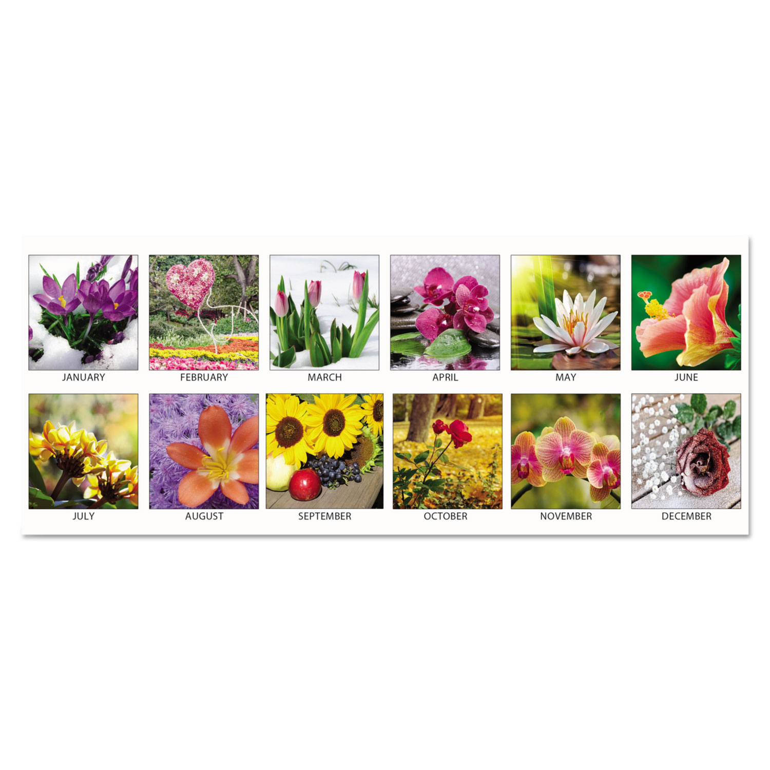 Recycled Floral Monthly Wall Calendar, 12 x 16 1/2, 2018