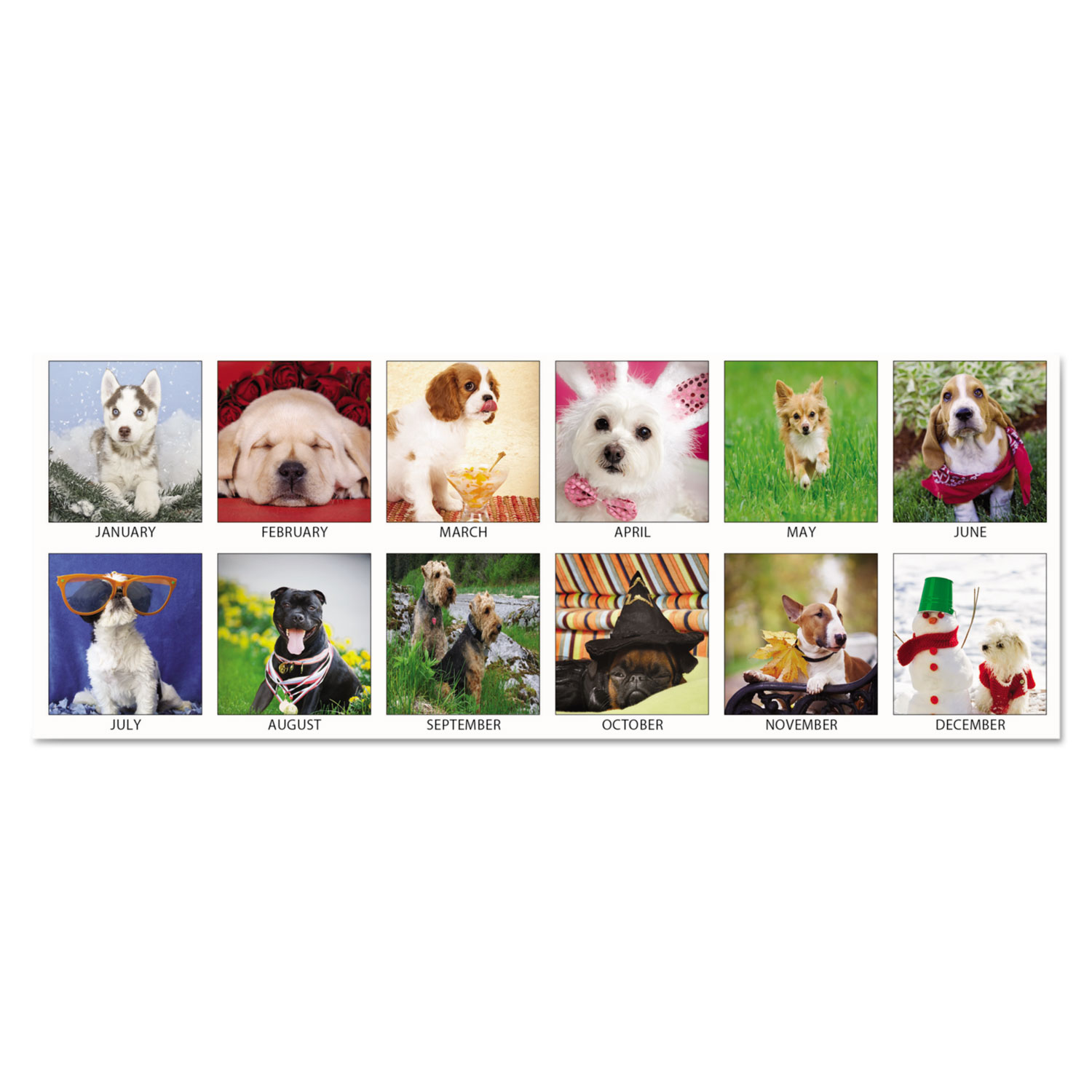 Recycled Puppies Photographic Monthly Desk Pad Calendar, 18 1/2 x 13, 2018
