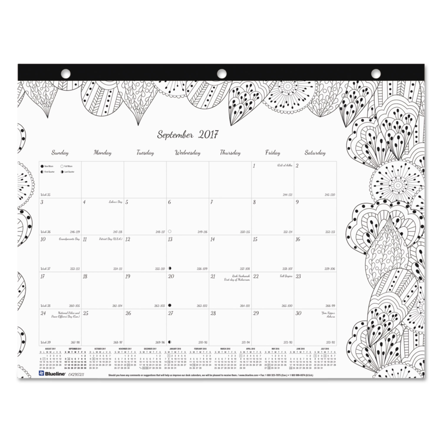 Academic DoodlePlan Desk Pad Mini Calendar w/Coloring Pages, 11x8 1/2, 2017-2018
