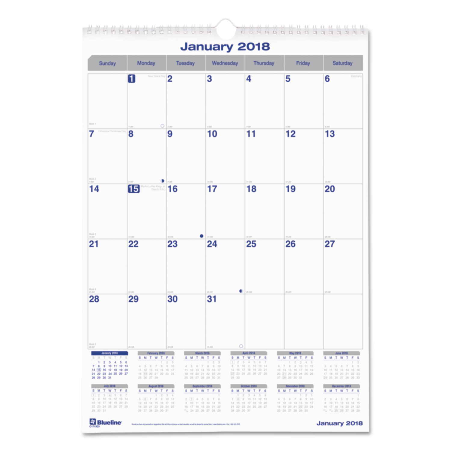 Net Zero Carbon Monthly Wall Calendar, 17 x 12, 2018
