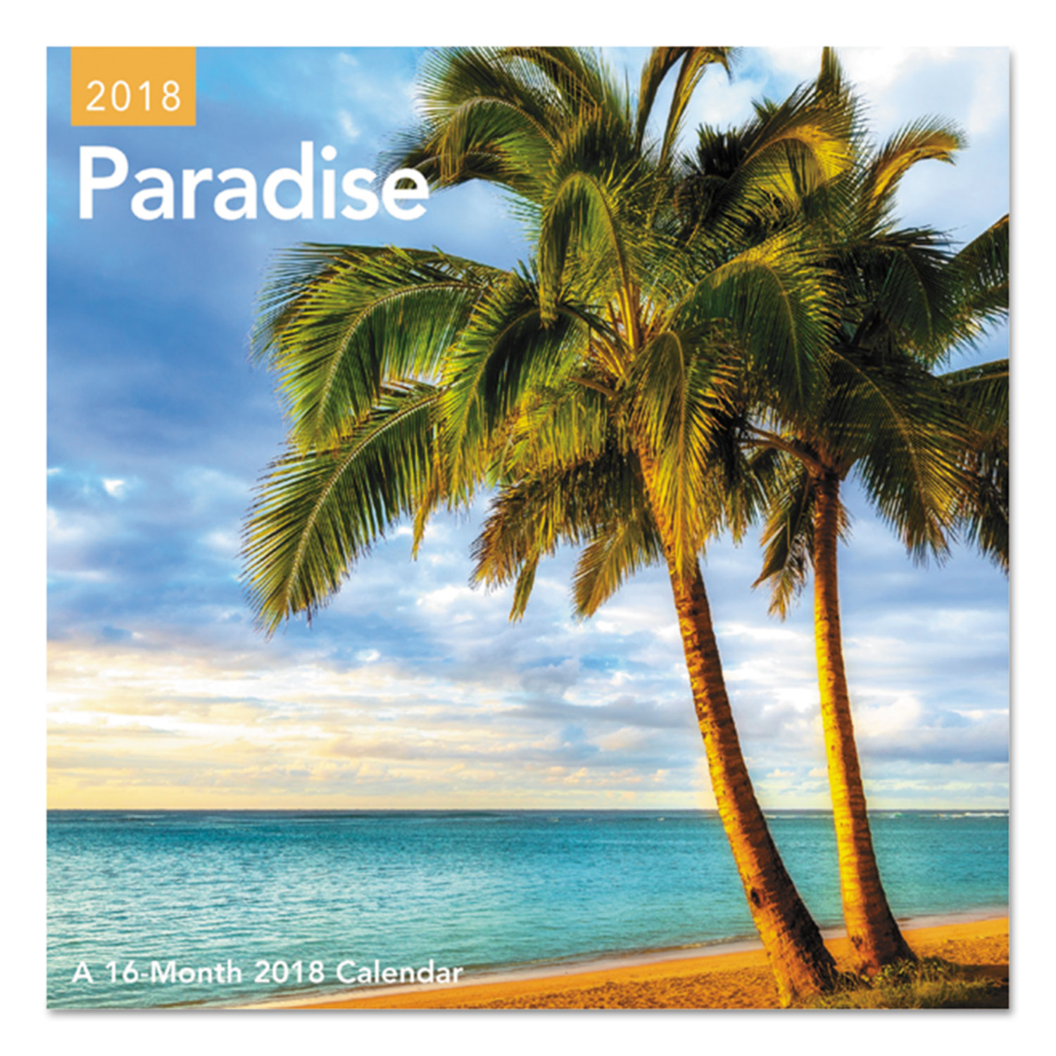 Day Dream Paradise Mini Wall Calendar, 7 x 7, 2018