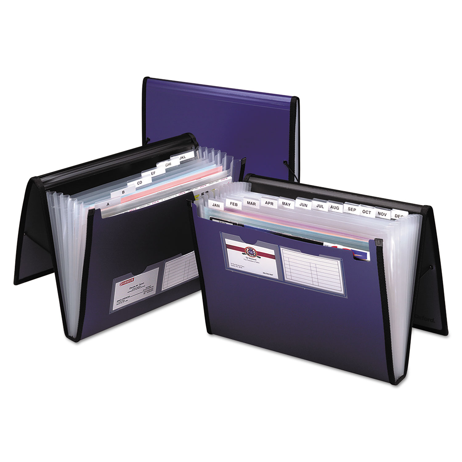  Pendaflex 52670EE Professional Expanding Organizer, 7 Sections, Letter Size, Blue (PFX52670) 