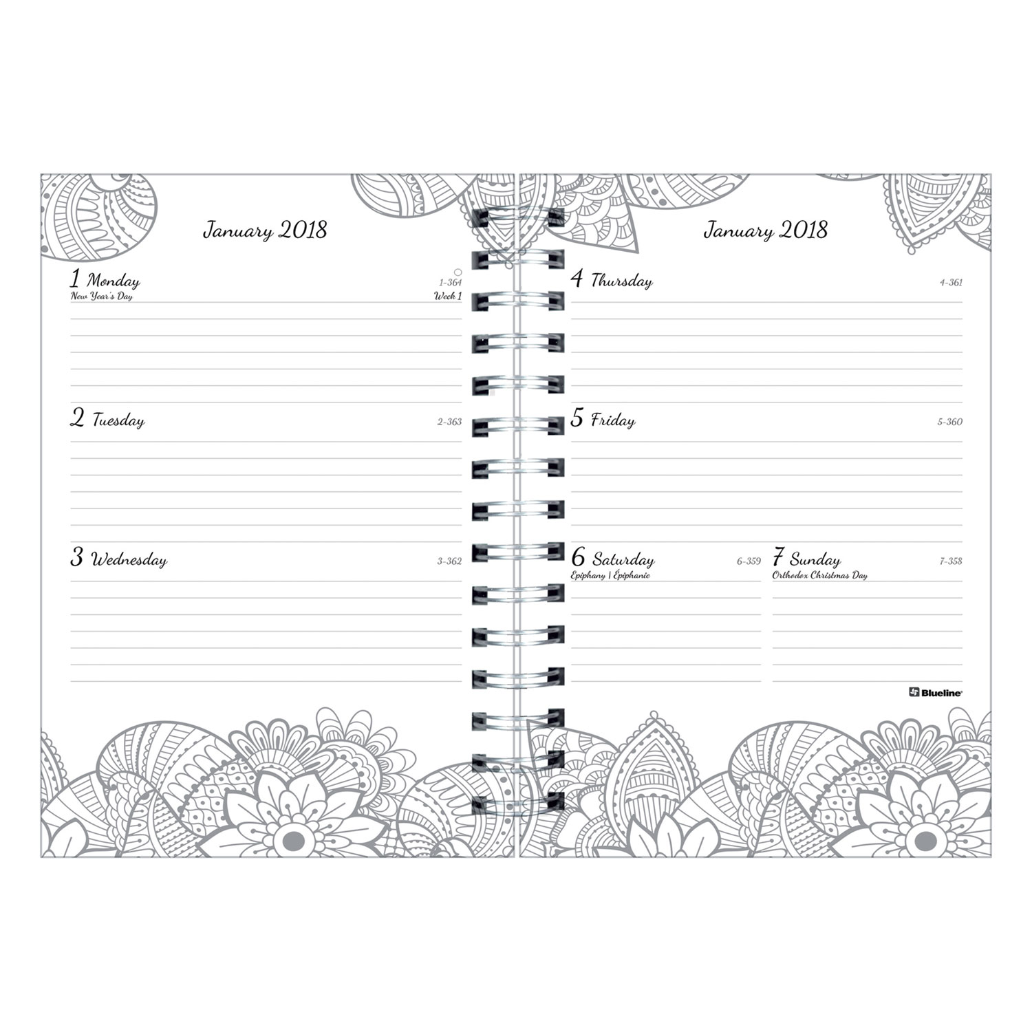 Doodleplan Weekly/Monthly Planner, 8 x 5, Botanica