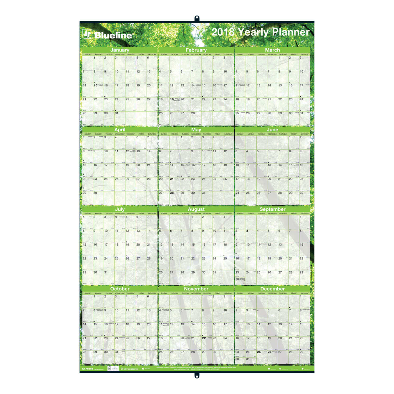 Yearly Laminated Wall Calendar, 36 x 24, Green, 2018