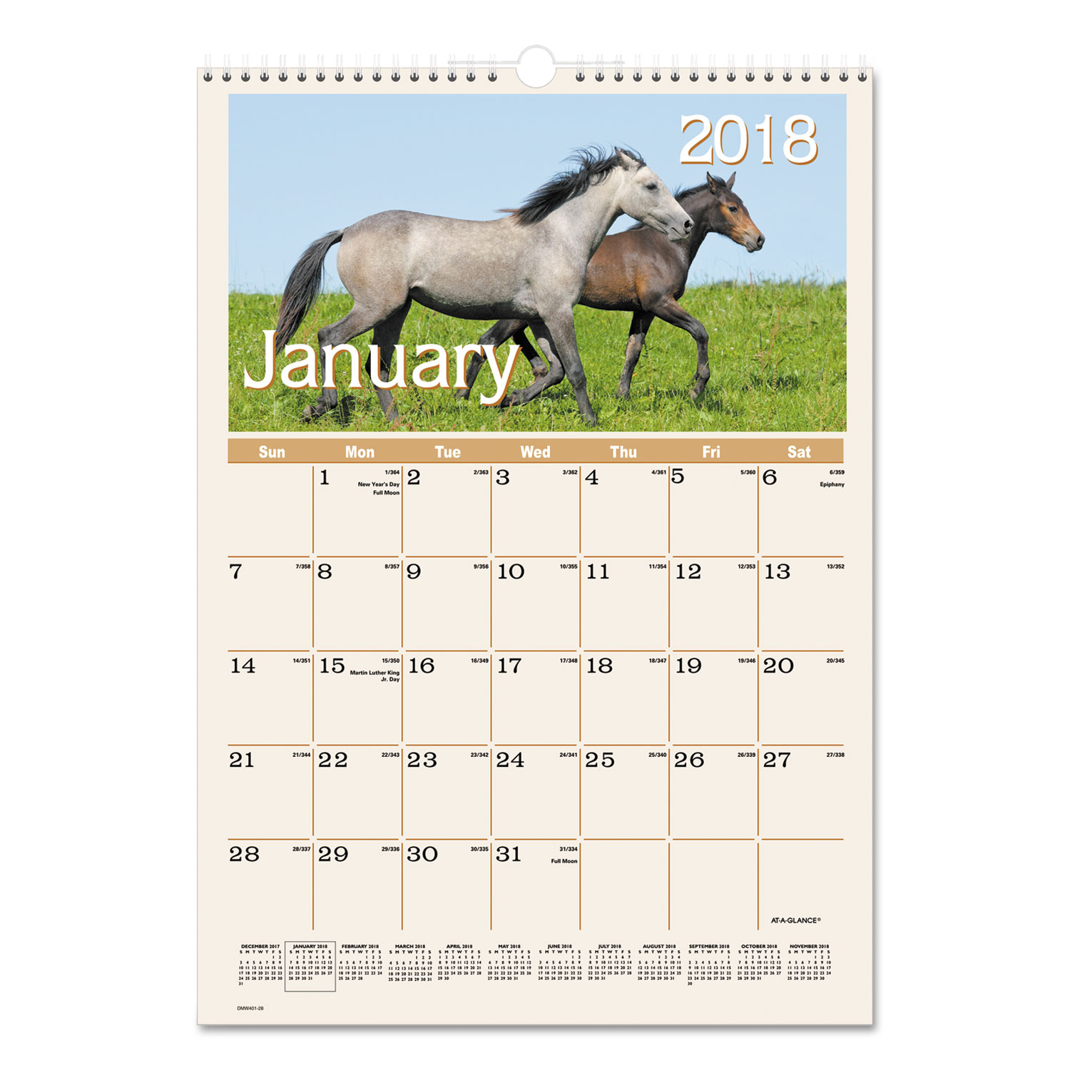 Horses Monthly Wall Calendar, 12 x 17, 2018