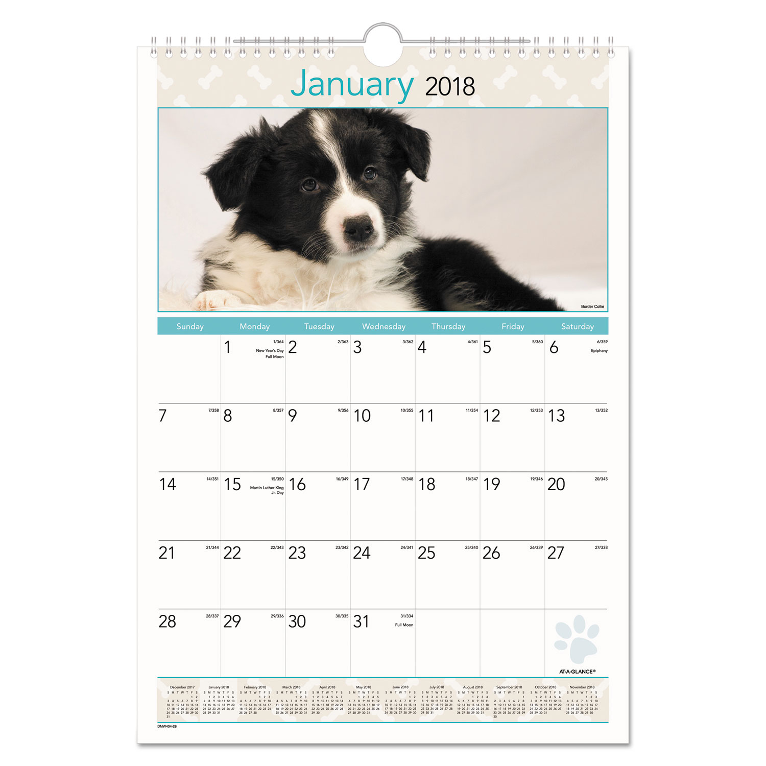 Puppies Monthly Wall Calendar, 12 x 17, 2018