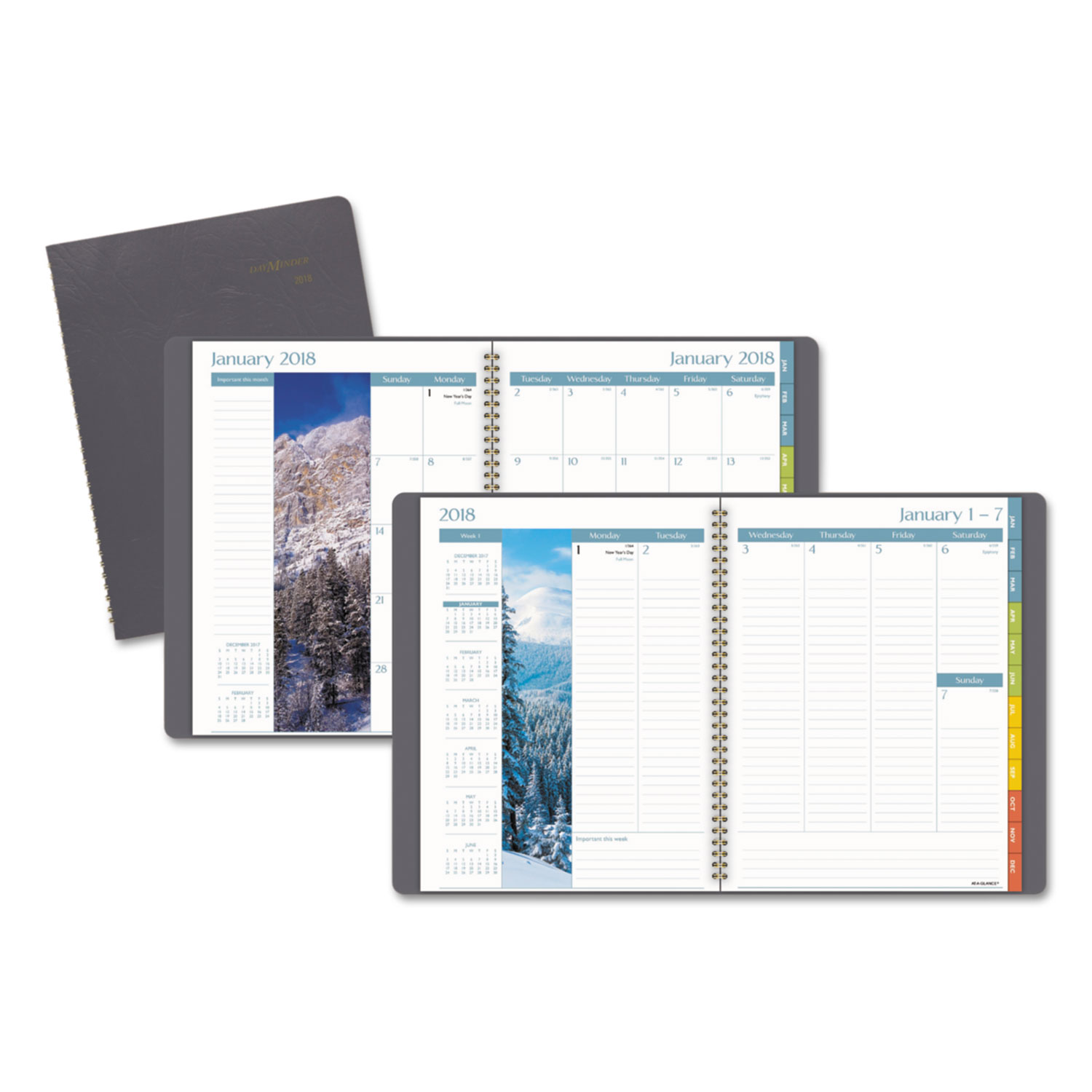 DayMinder Scenic Planner, 8 1/4 x 10 7/8, Gray