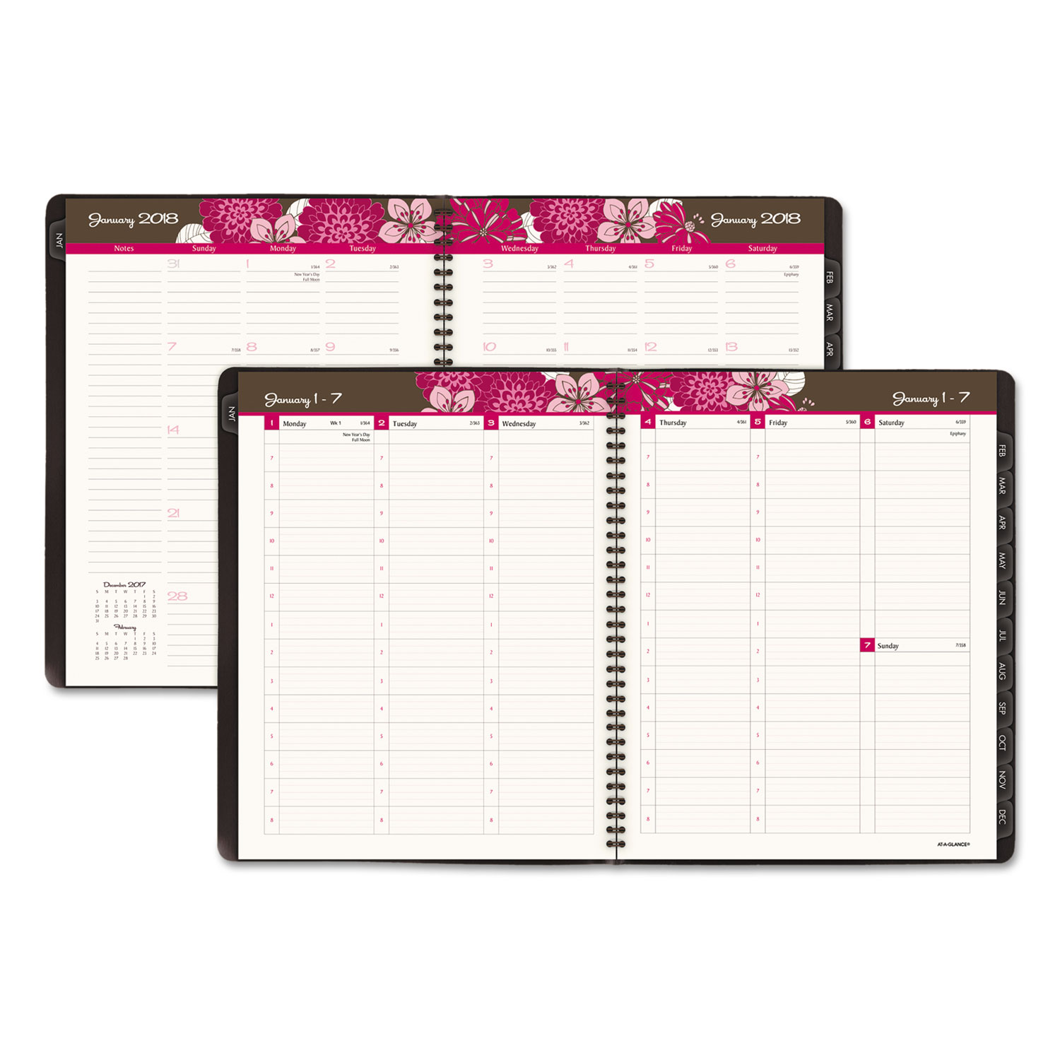 Sorbet Weekly/Monthly Appointment Book, 8 1/4 x 10 7/8, Brown/Pink, 2018