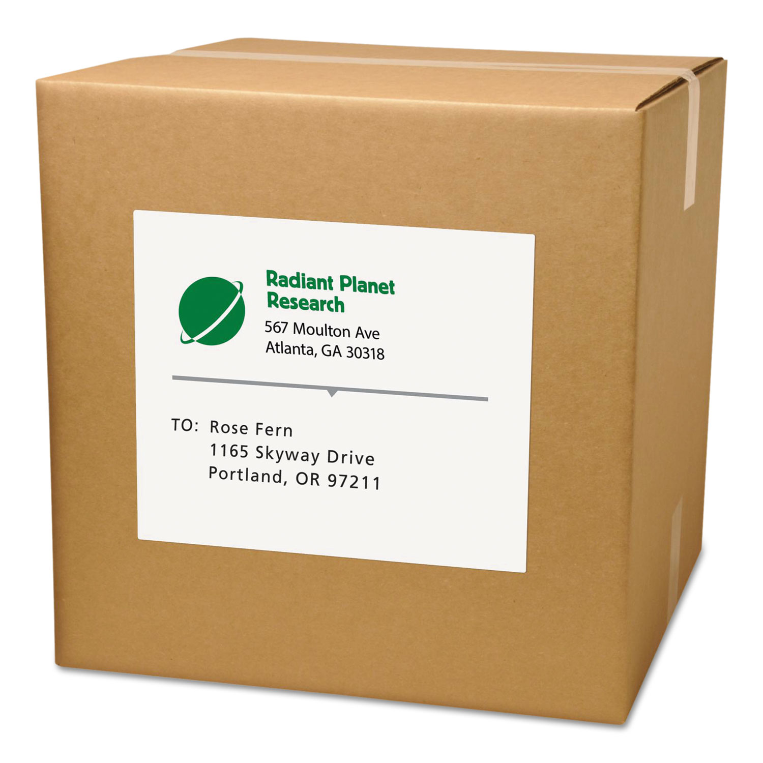 Shipping Labels with TrueBlock Technology, 8 1/2 x 11, Matte White, 500