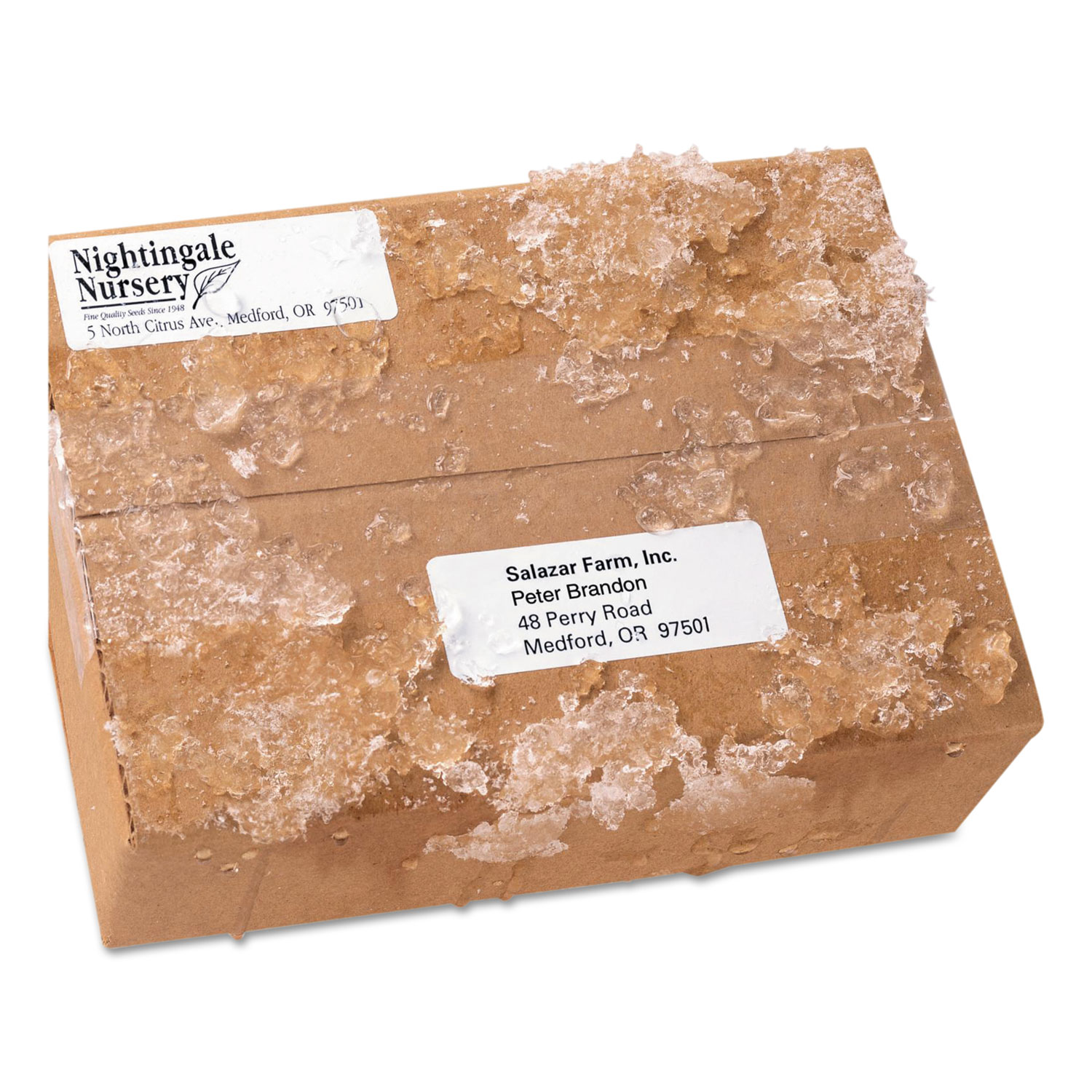 WeatherProof Durable Mailing Labels w/ TrueBlock Technology,1x2 5/8, White,15000